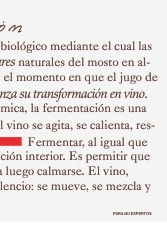 WINE BOOK — page 23