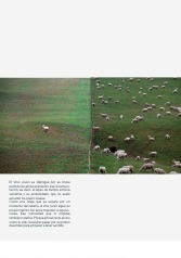 WINE BOOK — page 24