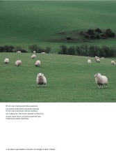 WINE BOOK — page 38
