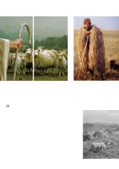WINE BOOK — page 62