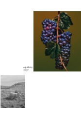 WINE BOOK — page 63