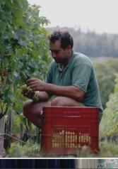 WINE BOOK — page 66