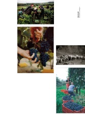 WINE BOOK — page 9