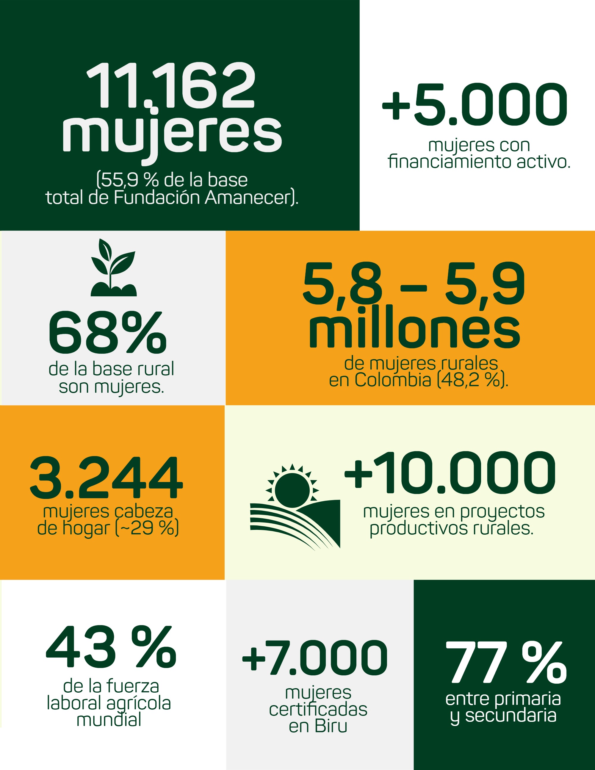 Fundación Amanecer- Boletín_Bimensual Marzo-Abril 2026 — page 5