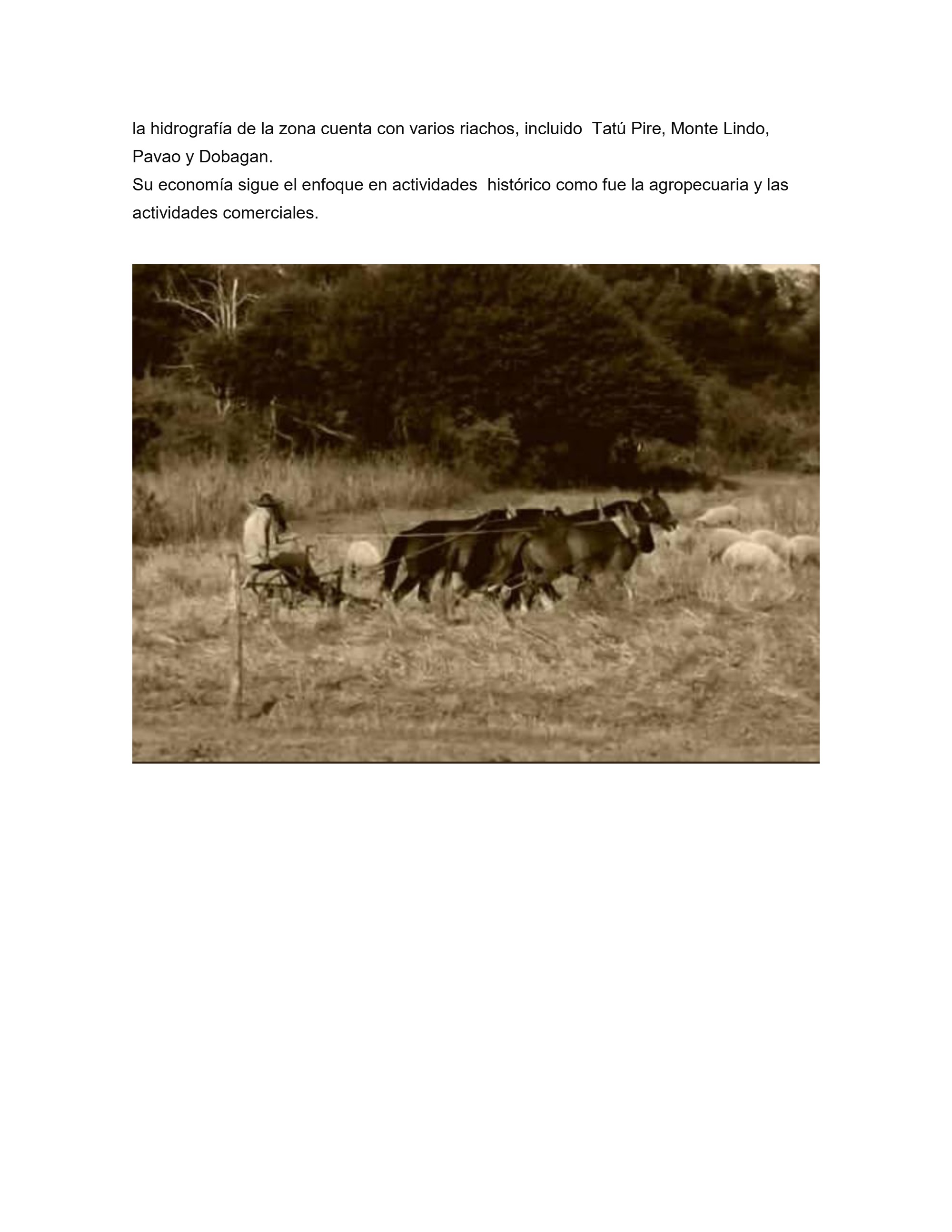 Revista Historia de Comandante Fontana — page 3
