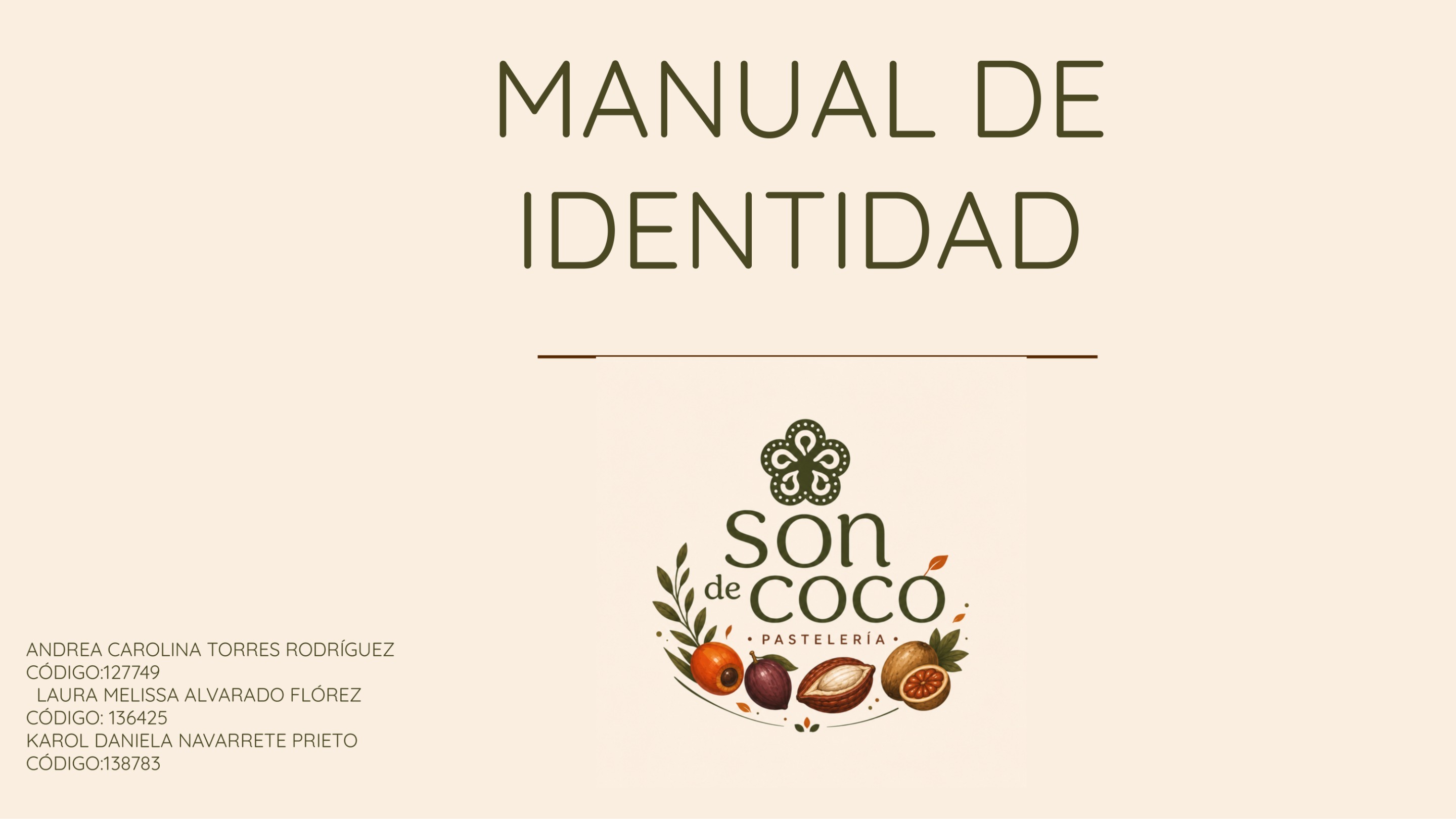 MANUAL DE IDENTIDAD  SON DE COCO 