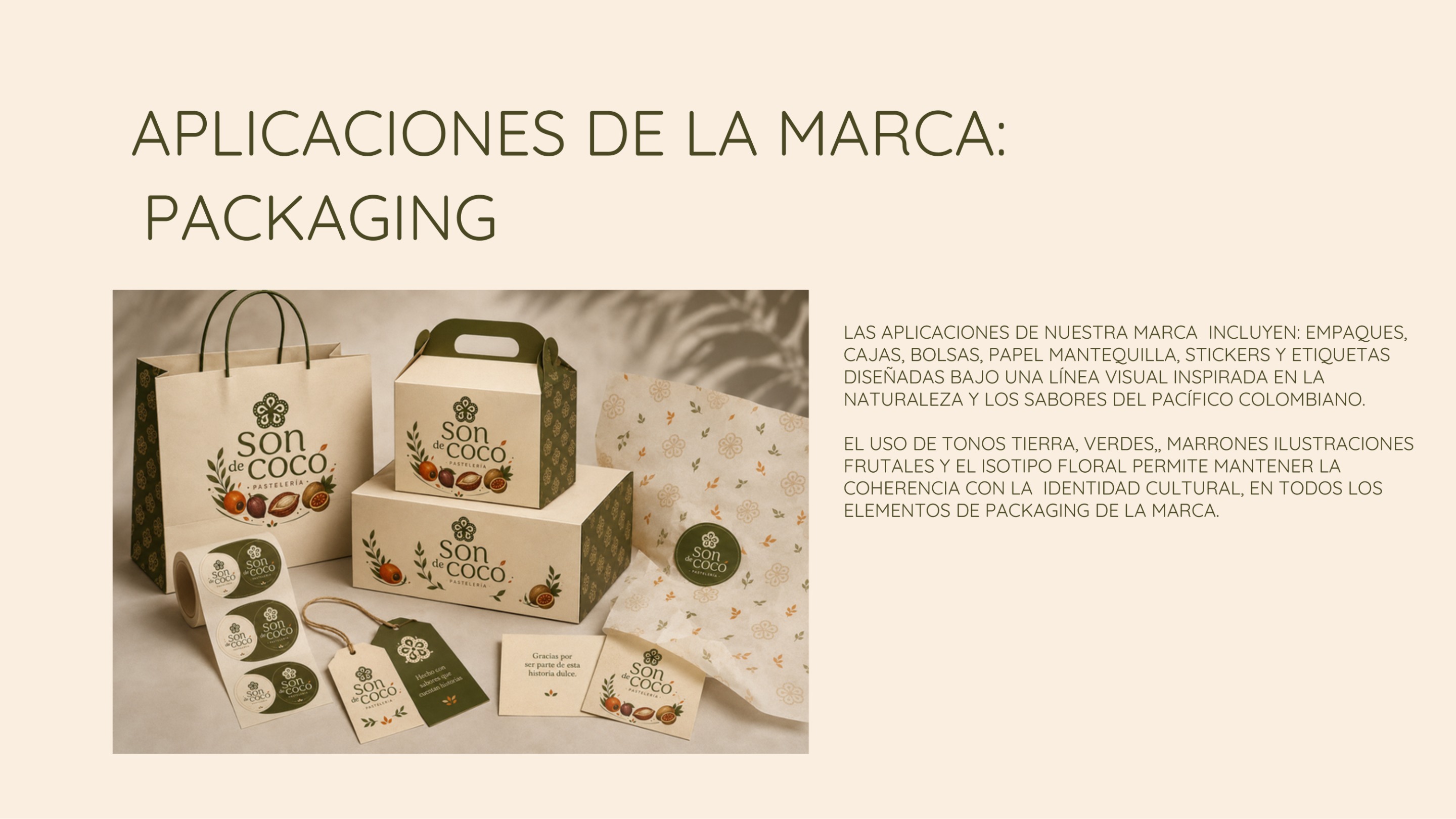 MANUAL DE IDENTIDAD  SON DE COCO — page 11