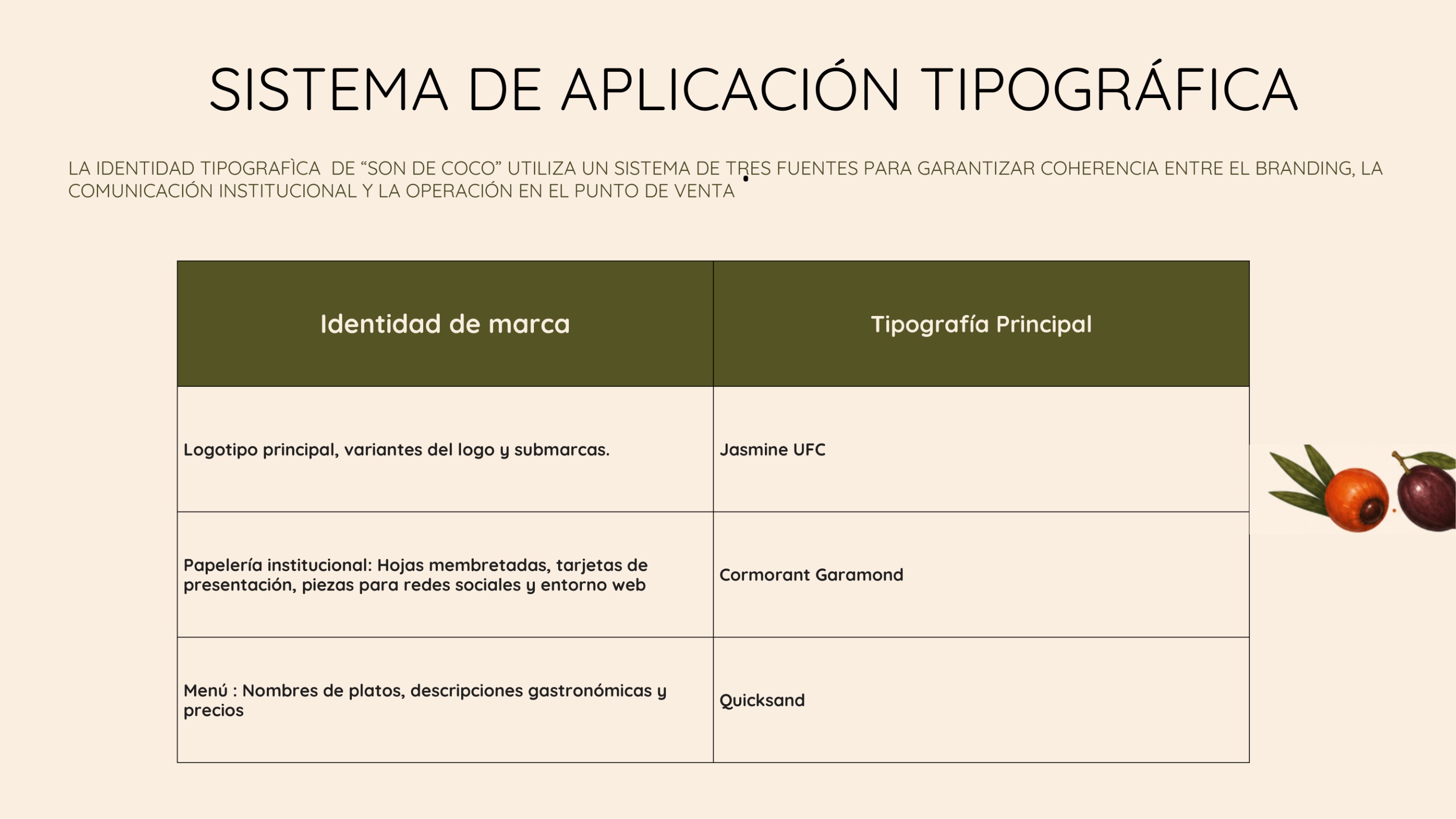 MANUAL DE IDENTIDAD  SON DE COCO — page 15
