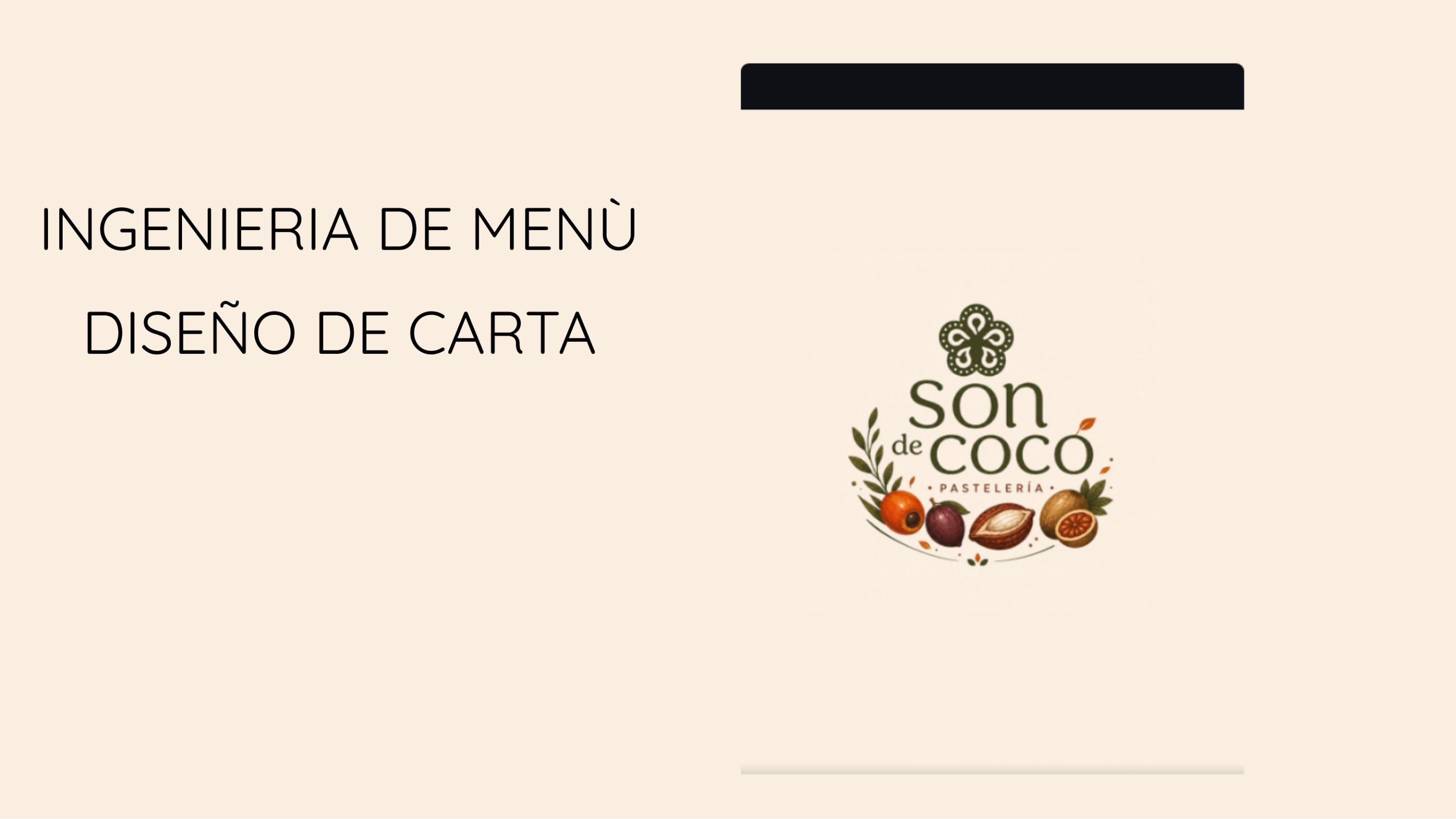 MANUAL DE IDENTIDAD  SON DE COCO — page 17