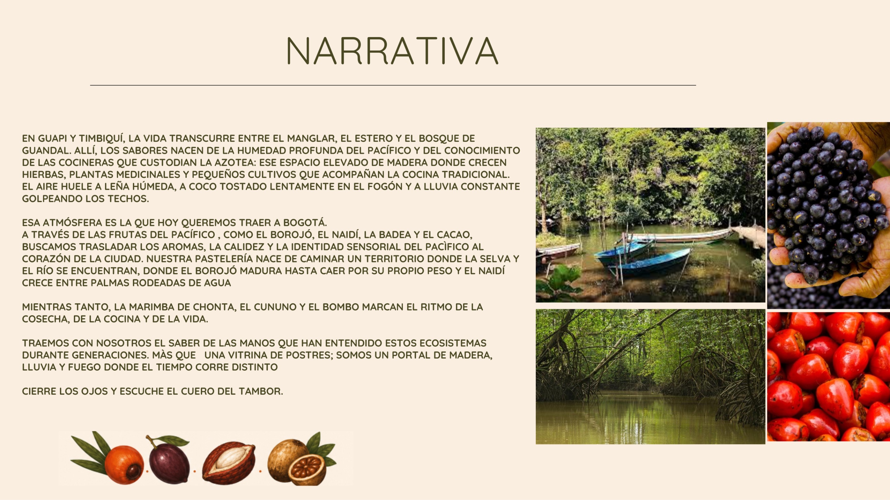 MANUAL DE IDENTIDAD  SON DE COCO — page 5