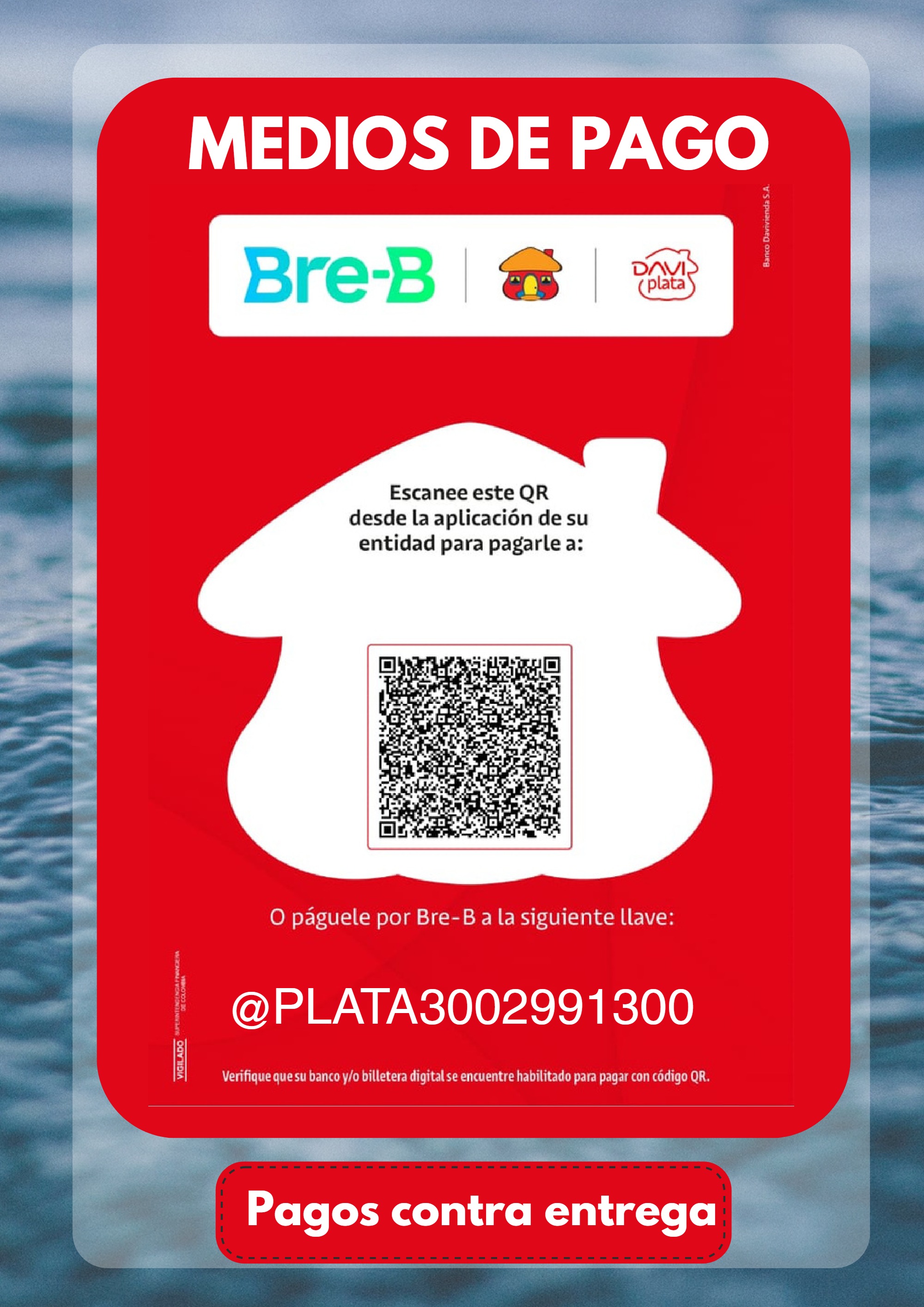 Catalogo AlexAndre Seafood — page 6