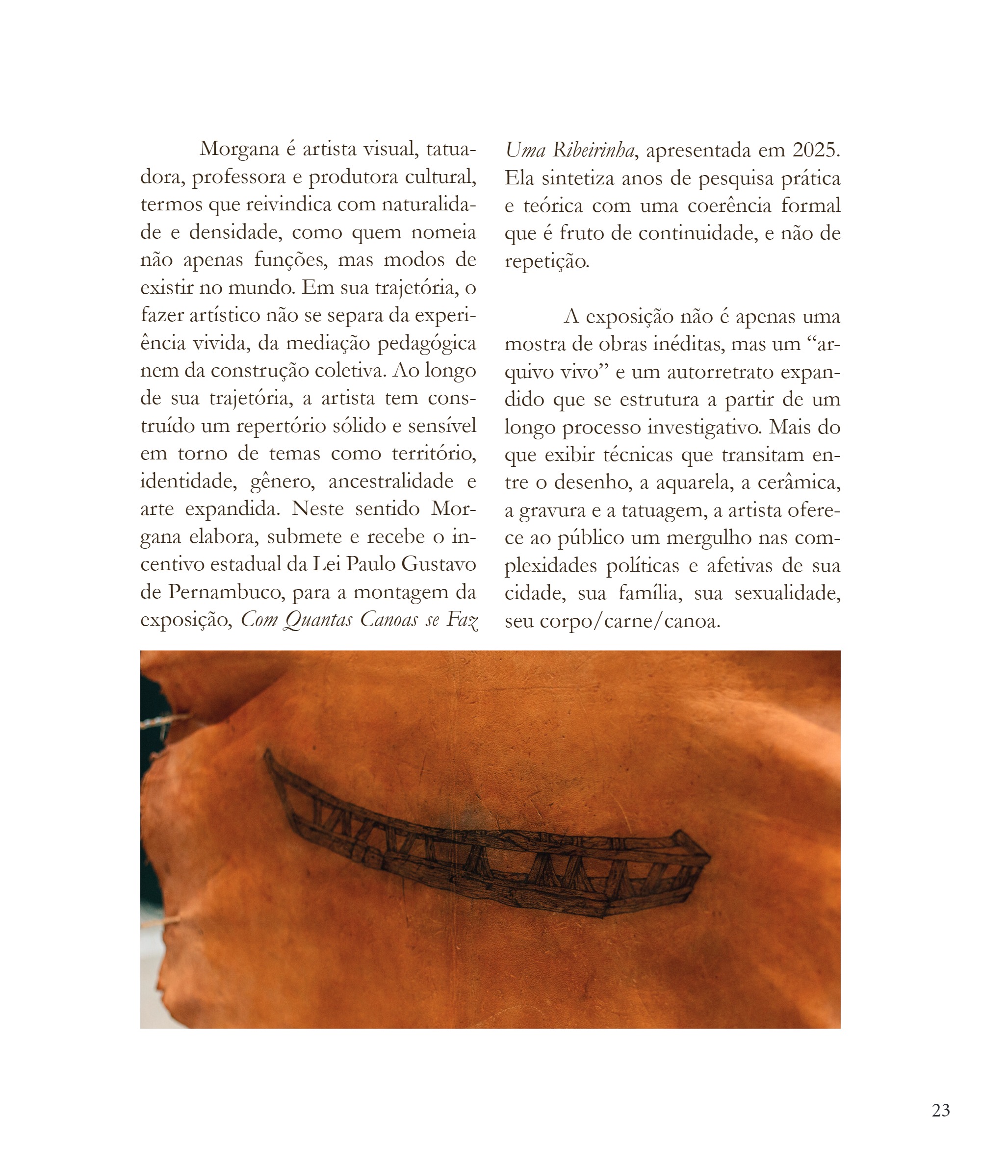 Desvio 2026 - Edição - Mapear o que escapa - PNAB — page 23