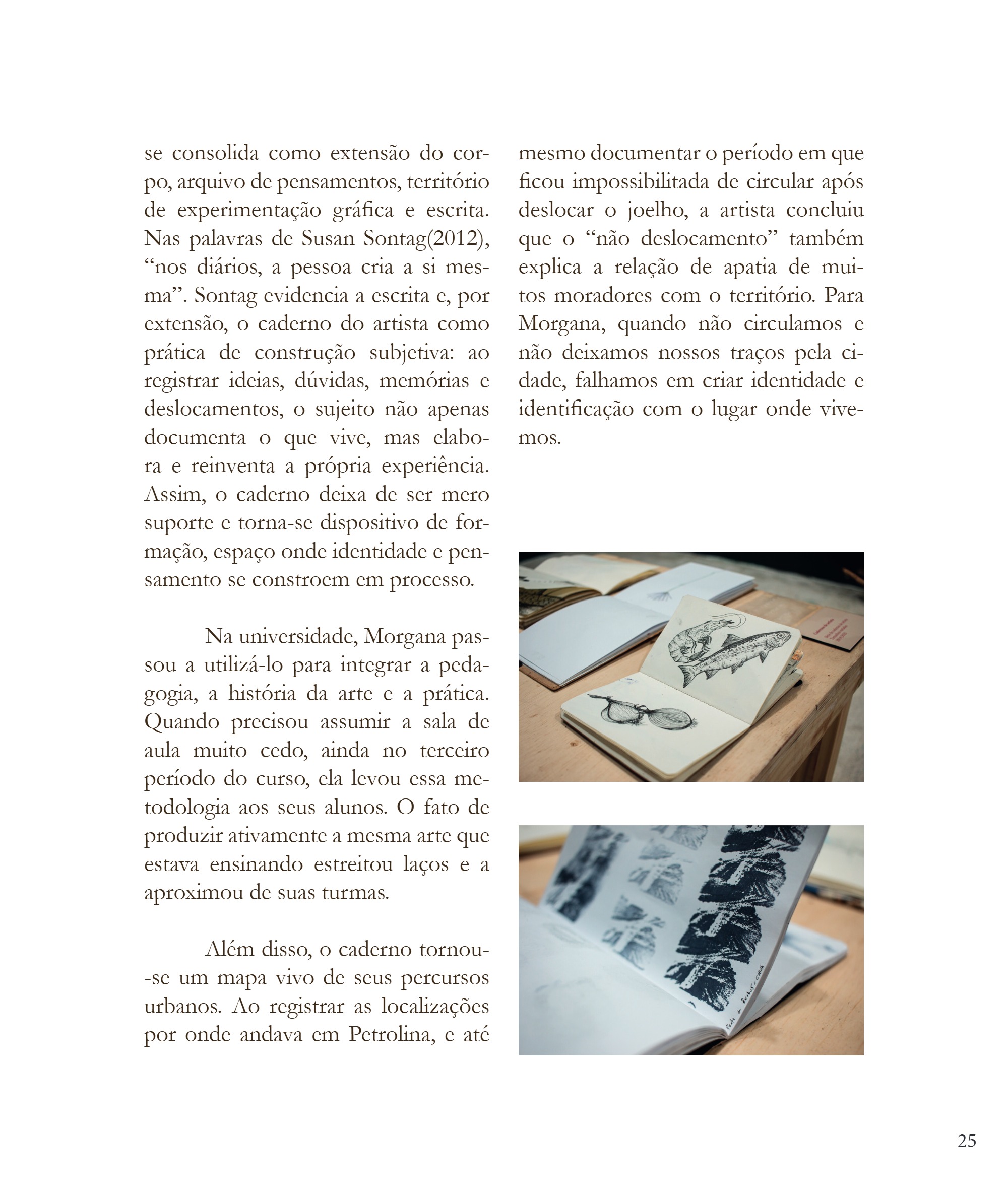 Desvio 2026 - Edição - Mapear o que escapa - PNAB — page 25