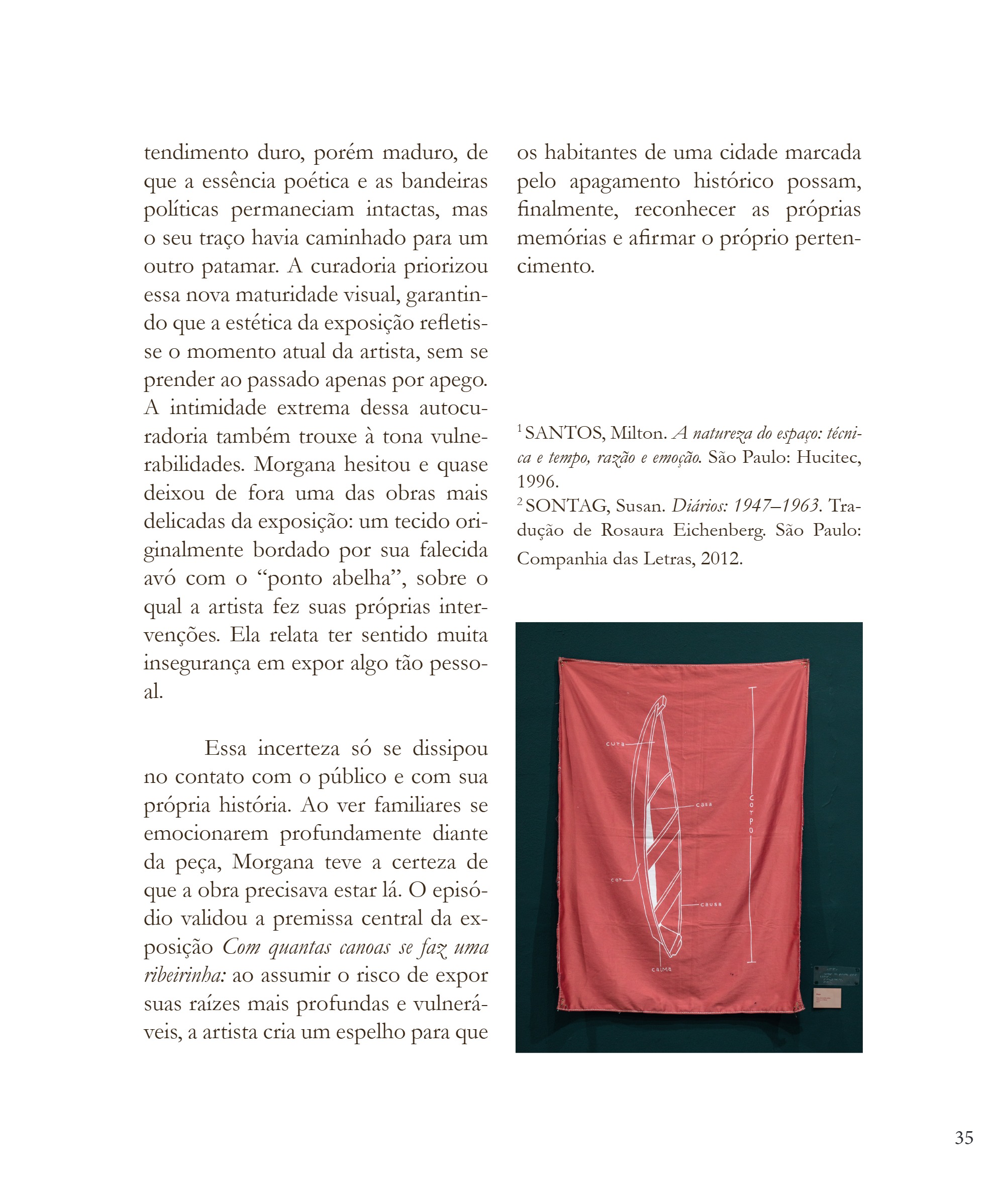 Desvio 2026 - Edição - Mapear o que escapa - PNAB — page 35