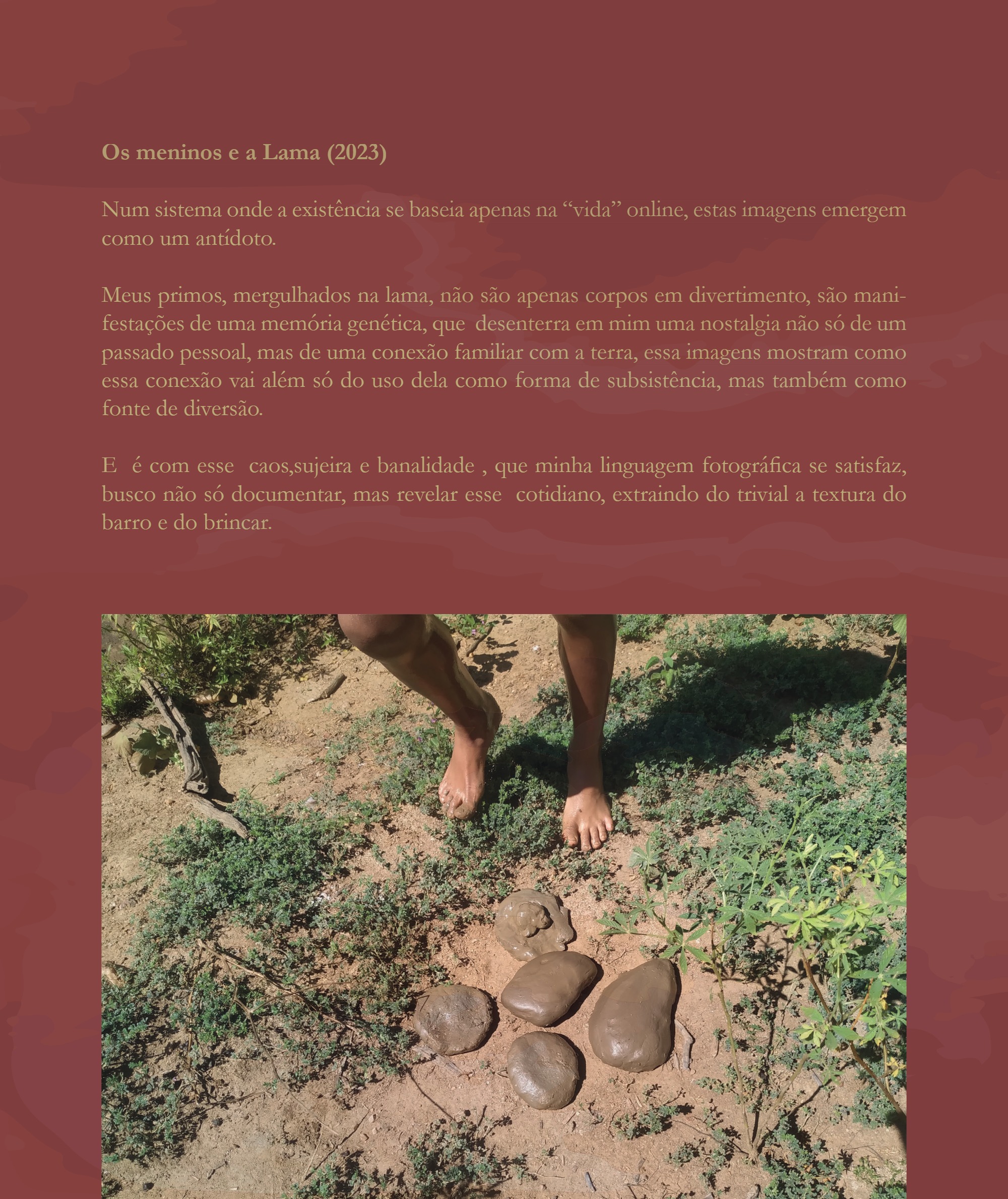 Desvio 2026 - Edição - Mapear o que escapa - PNAB — page 38
