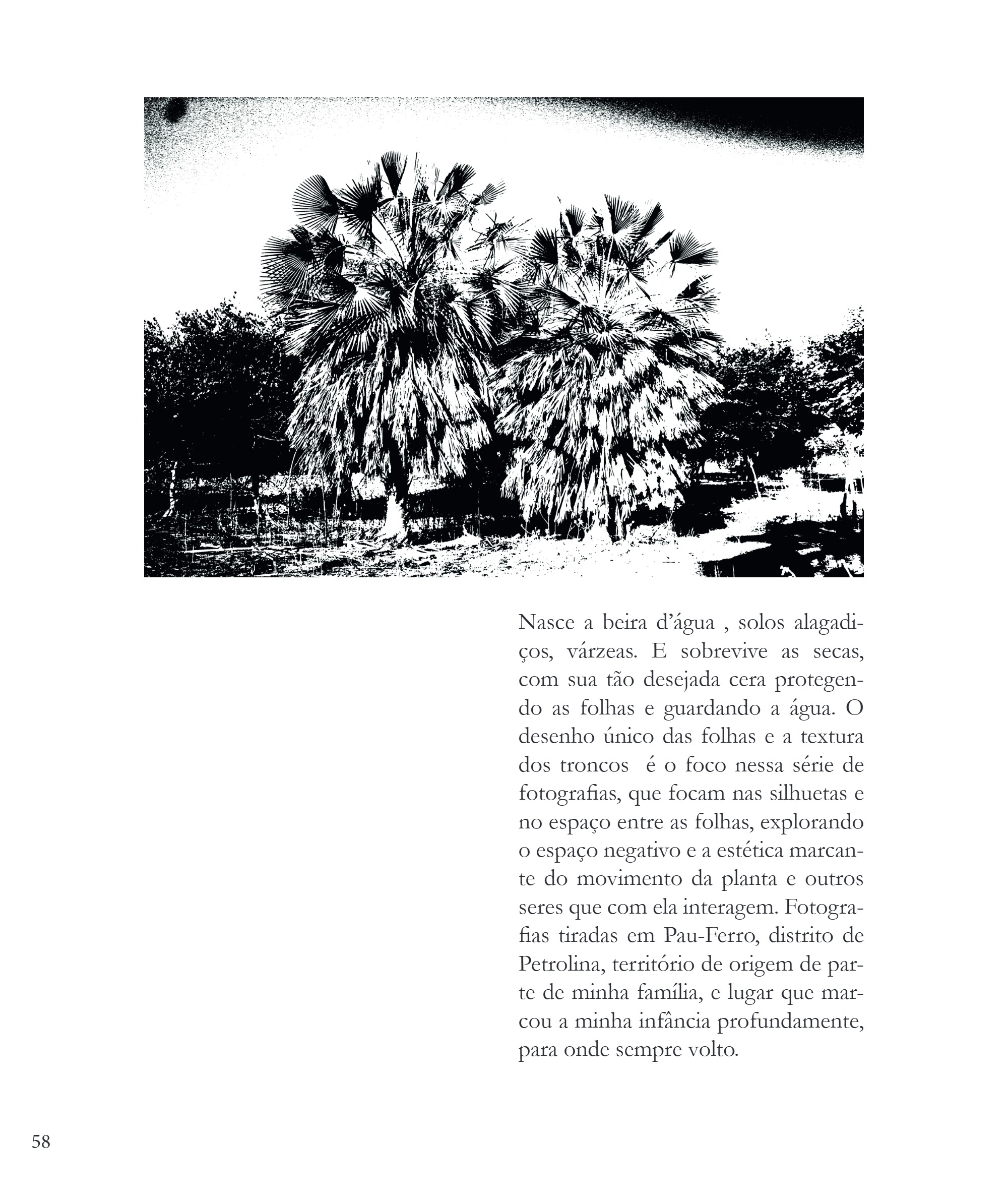 Desvio 2026 - Edição - Mapear o que escapa - PNAB — page 58