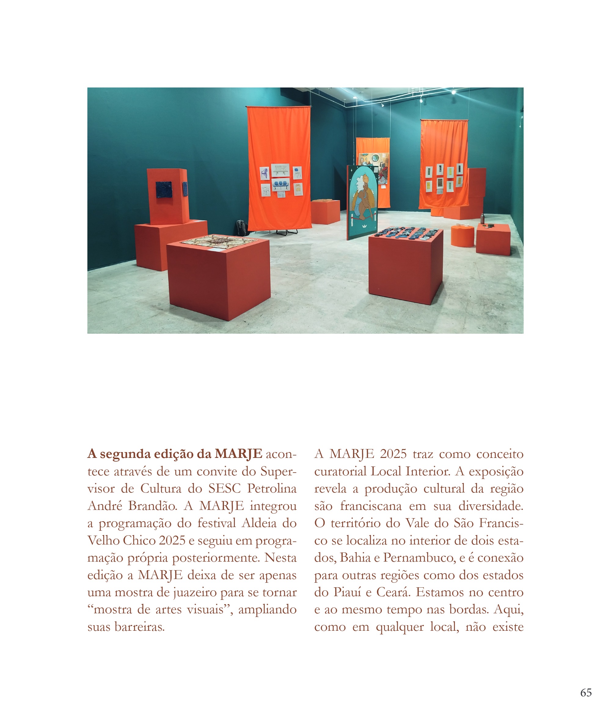 Desvio 2026 - Edição - Mapear o que escapa - PNAB — page 65