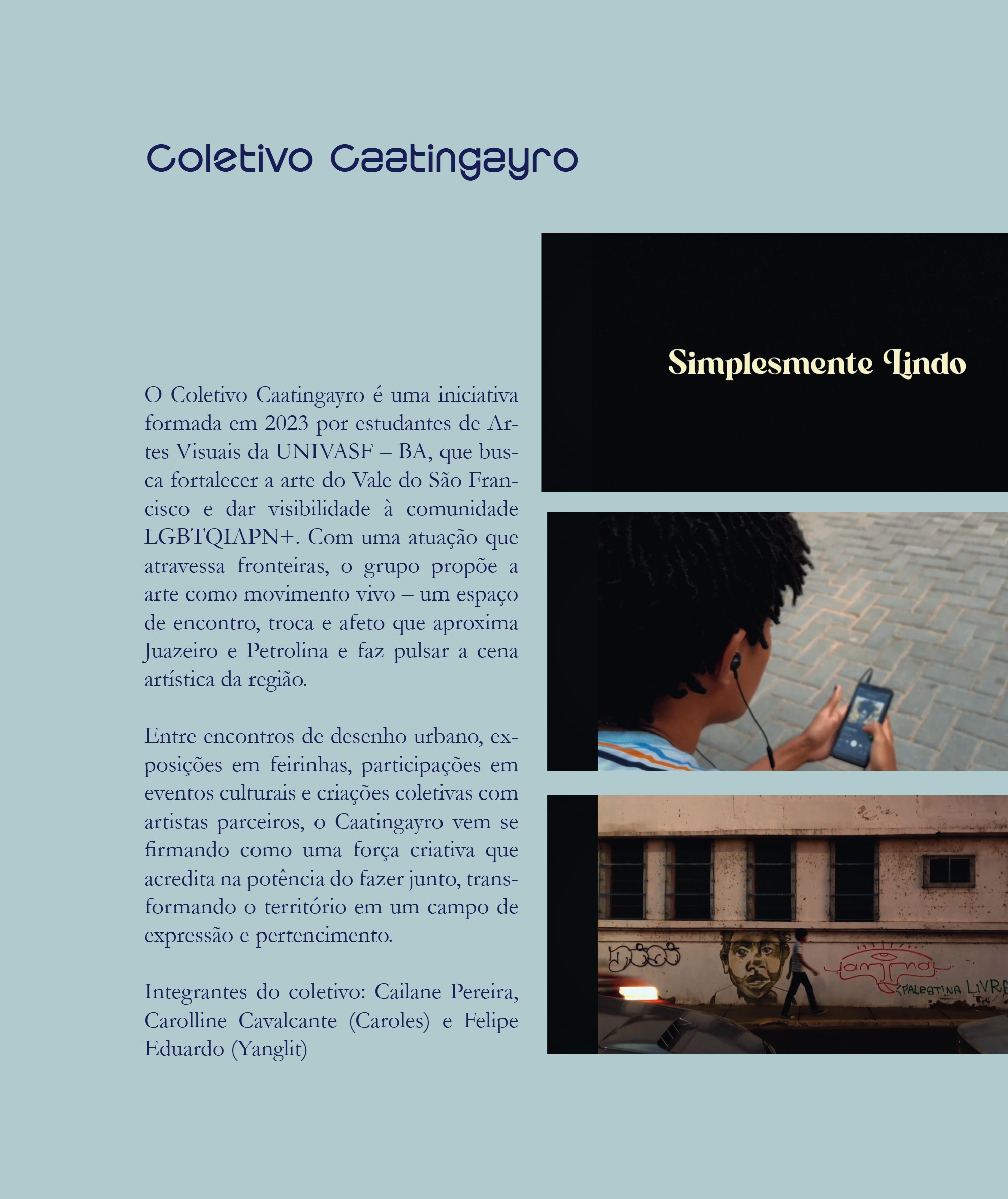 Desvio 2026 - Edição - Mapear o que escapa - PNAB — page 86