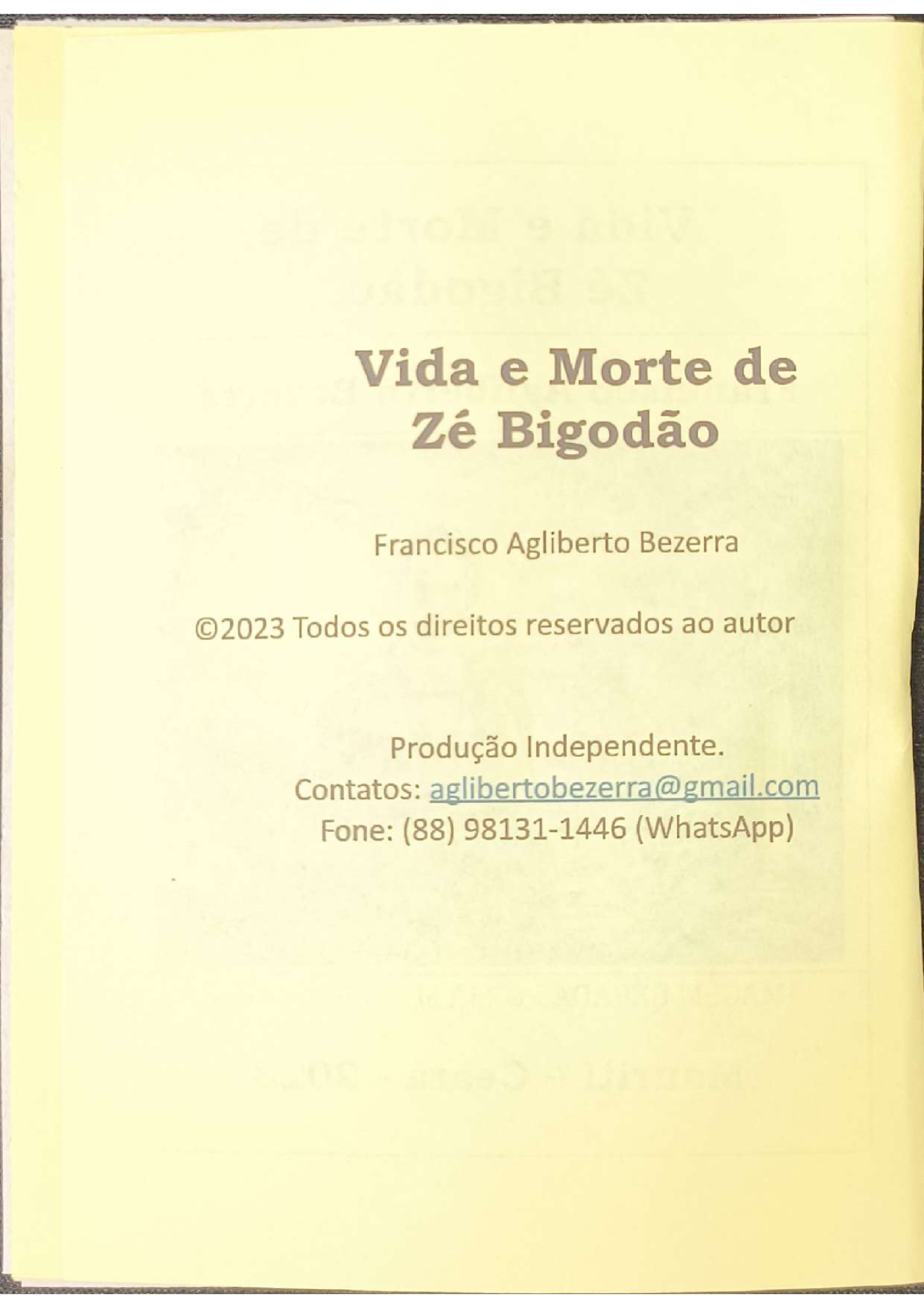 vida_e_morte_de_ze_bigodao — page 2