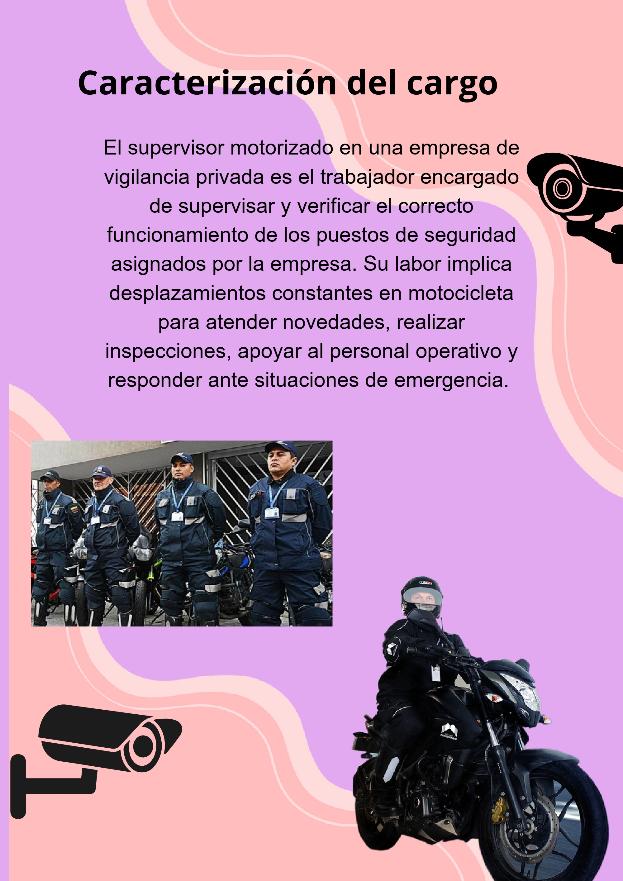 supervisor motorizado en una empresa de vigilancia privada — page 2
