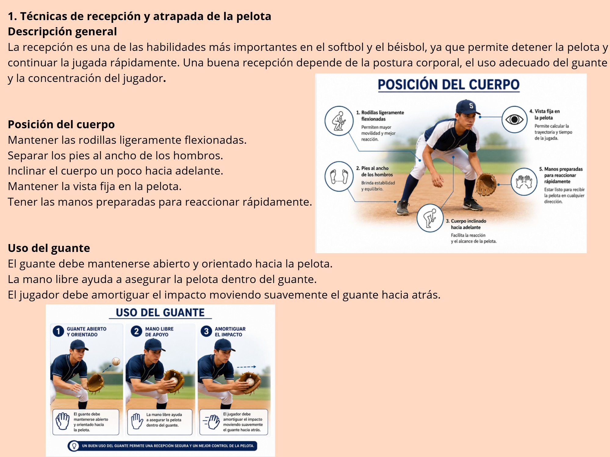 CARTILLA DIDACTICA DE BEISBOL — page 4