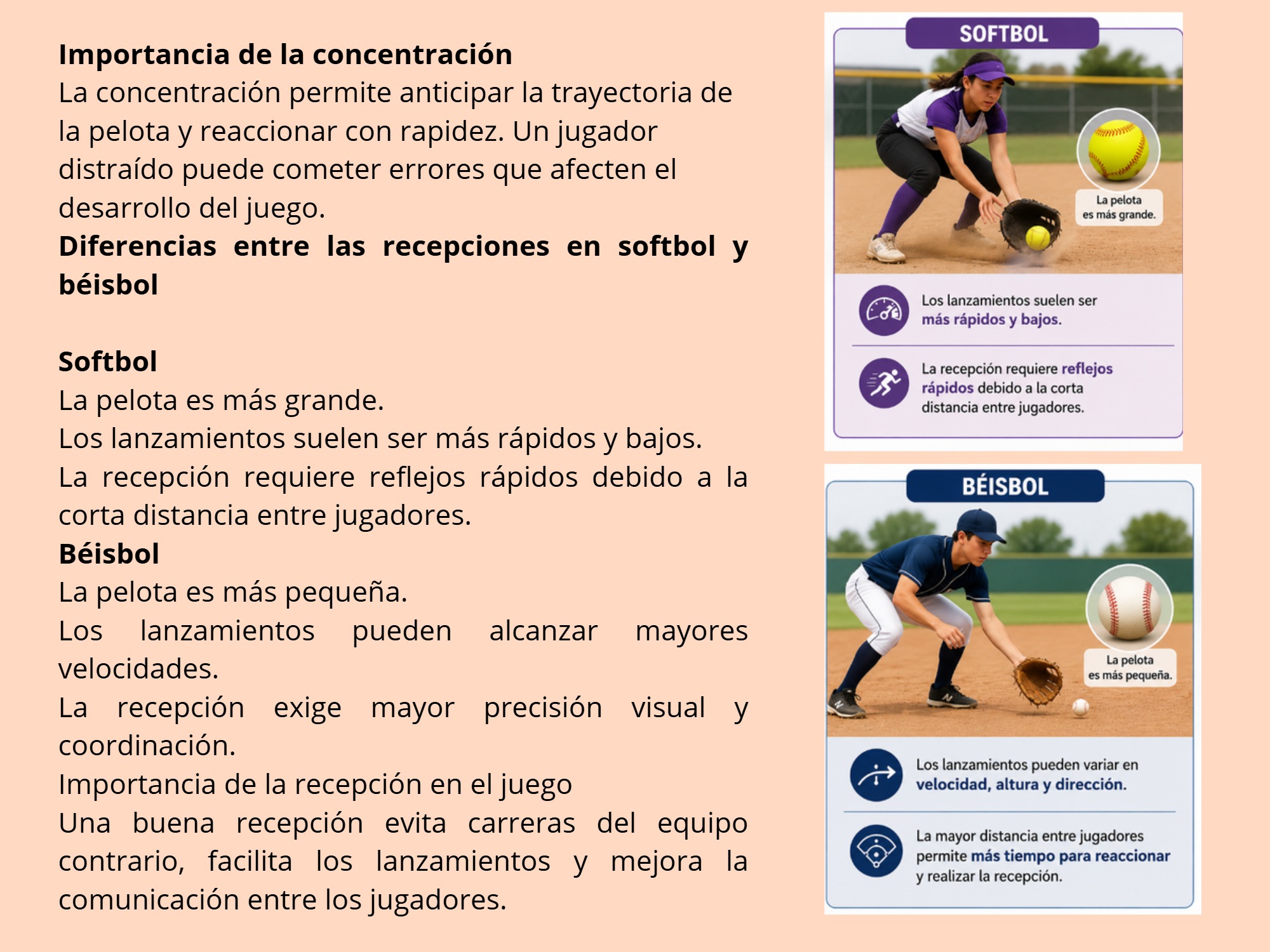 CARTILLA DIDACTICA DE BEISBOL — page 5