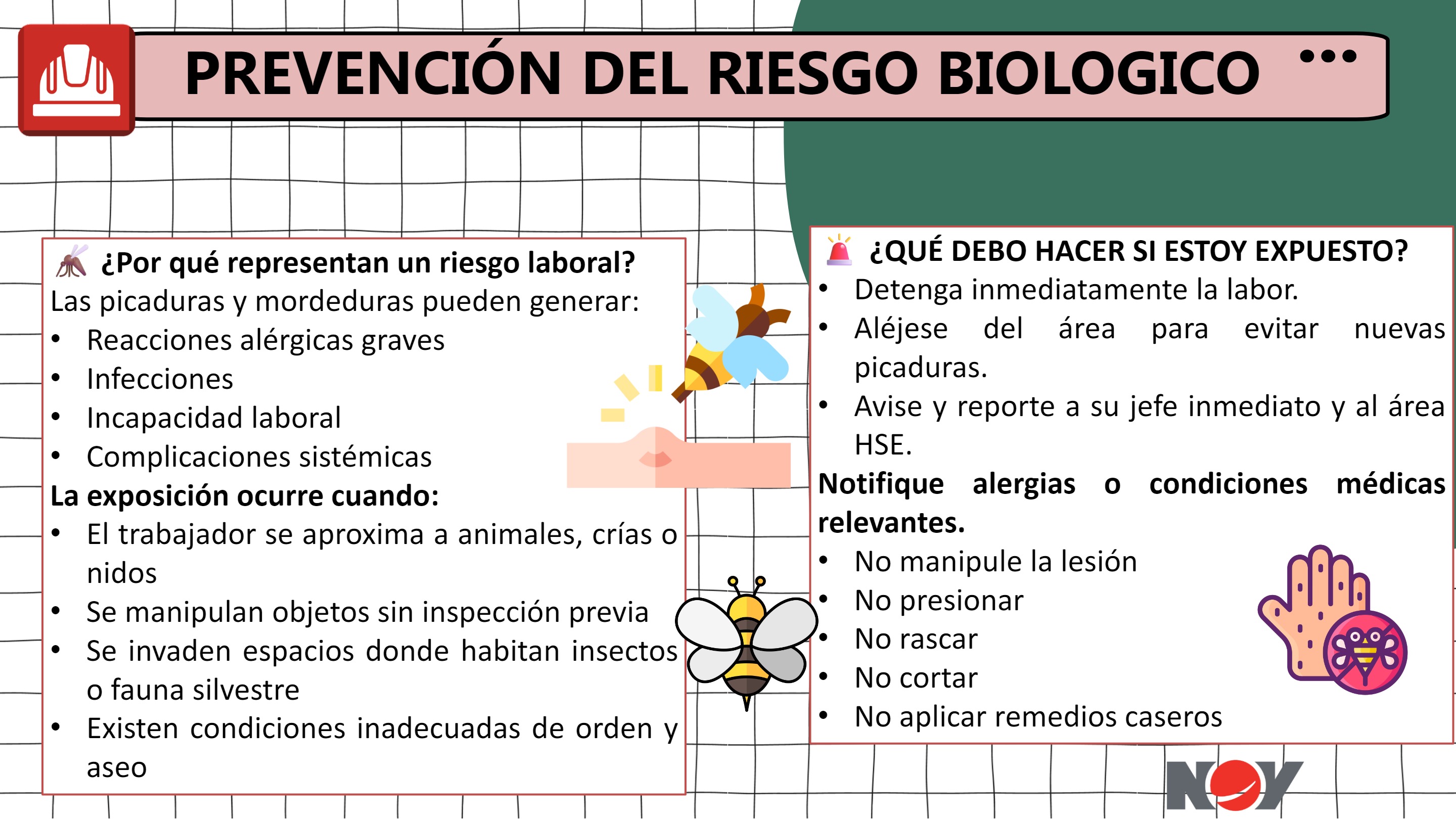 Boletin HSE TRIMESTRE — page 4