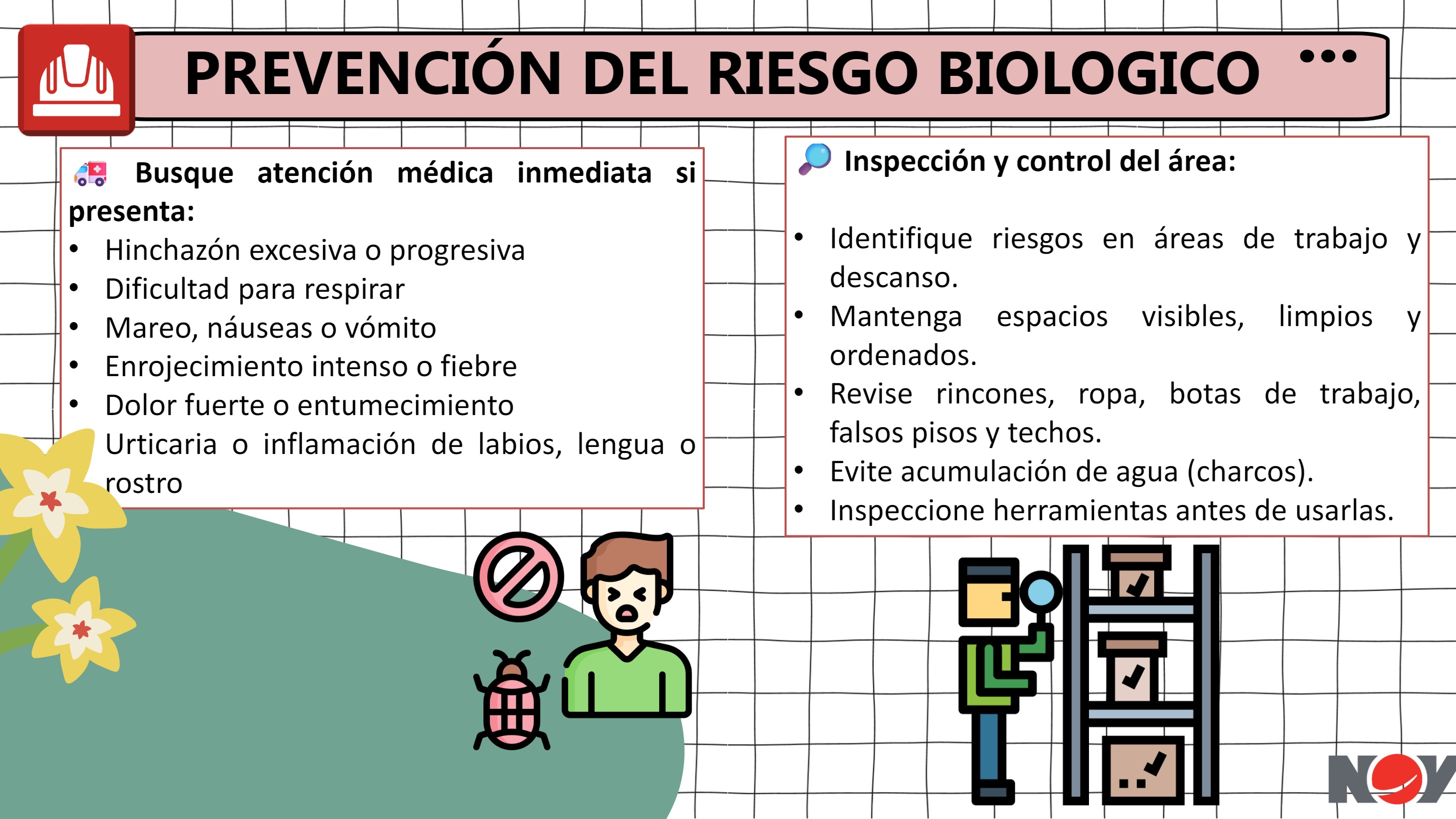 Boletin HSE TRIMESTRE — page 5