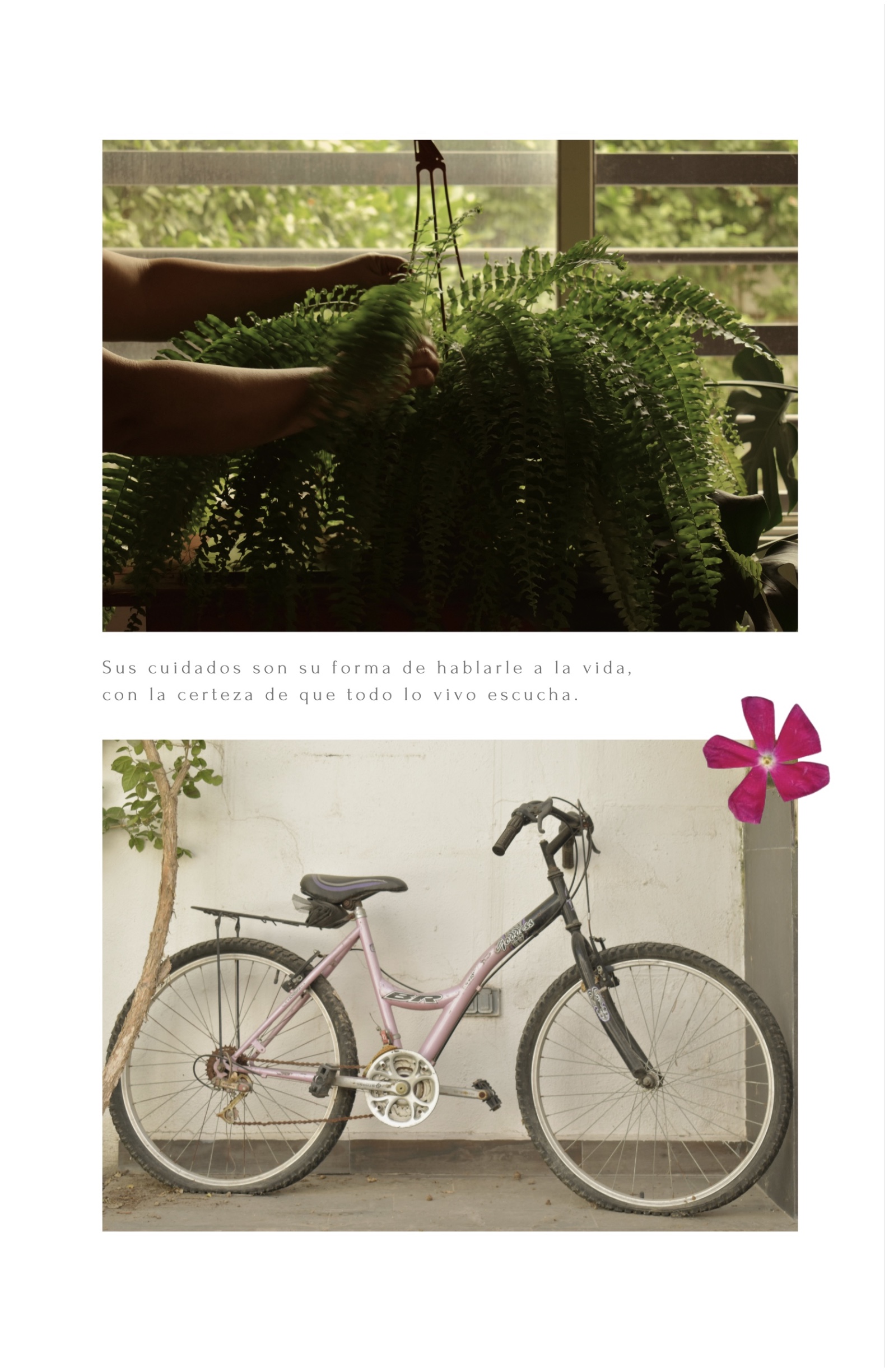 HUELLA — page 6