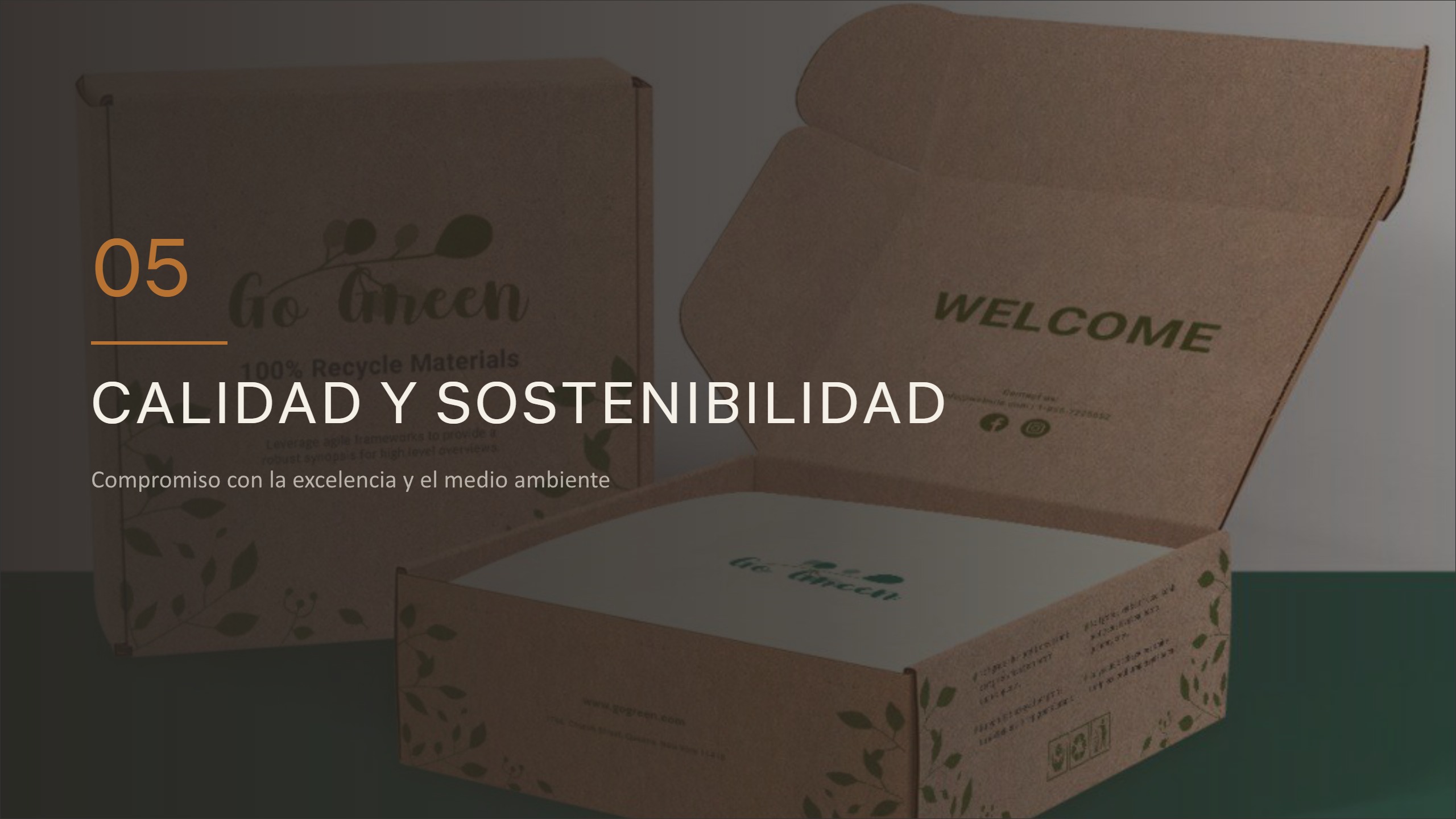 Box Master - Portafolio de Productos — page 18