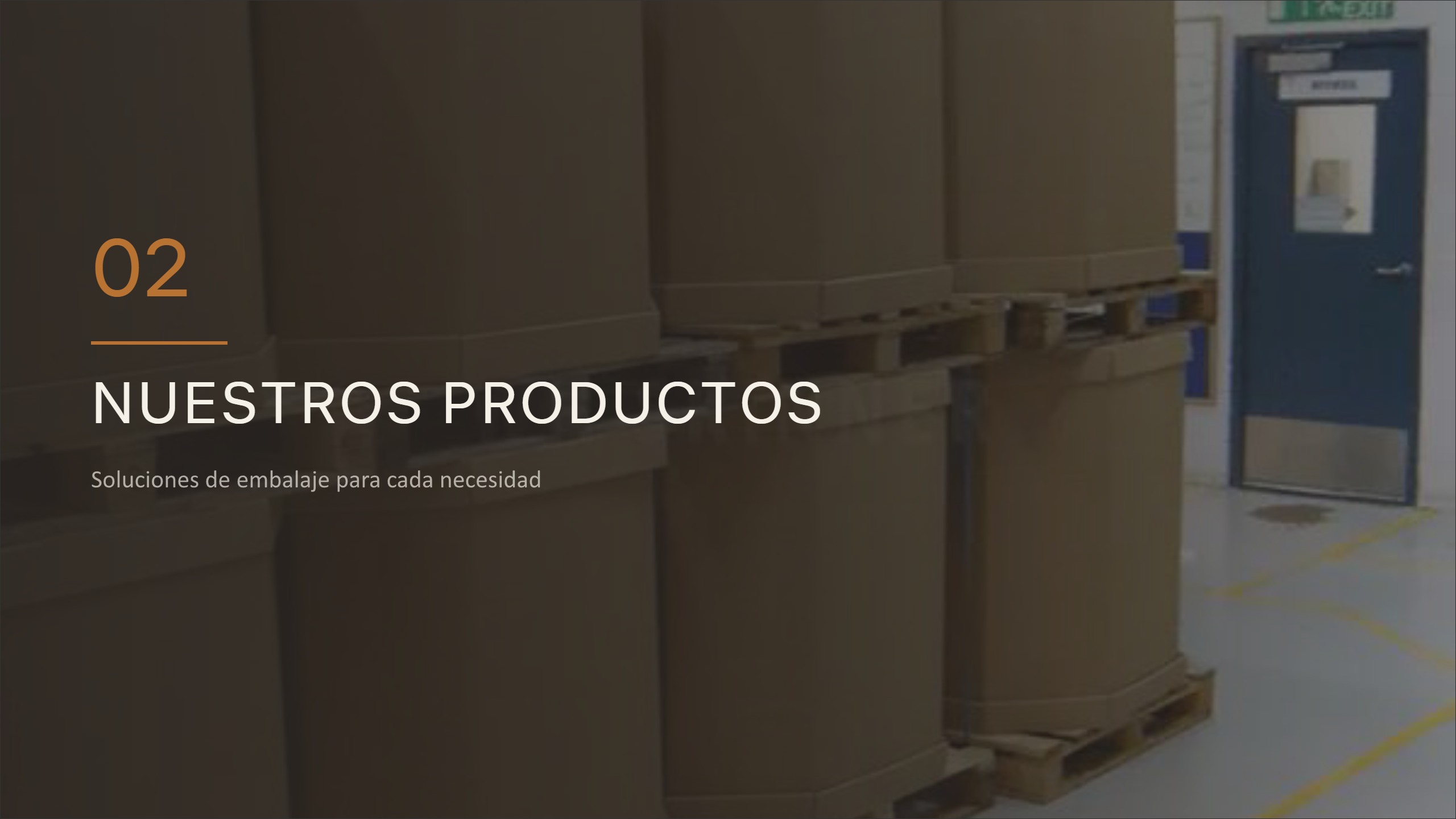 Box Master - Portafolio de Productos — page 5