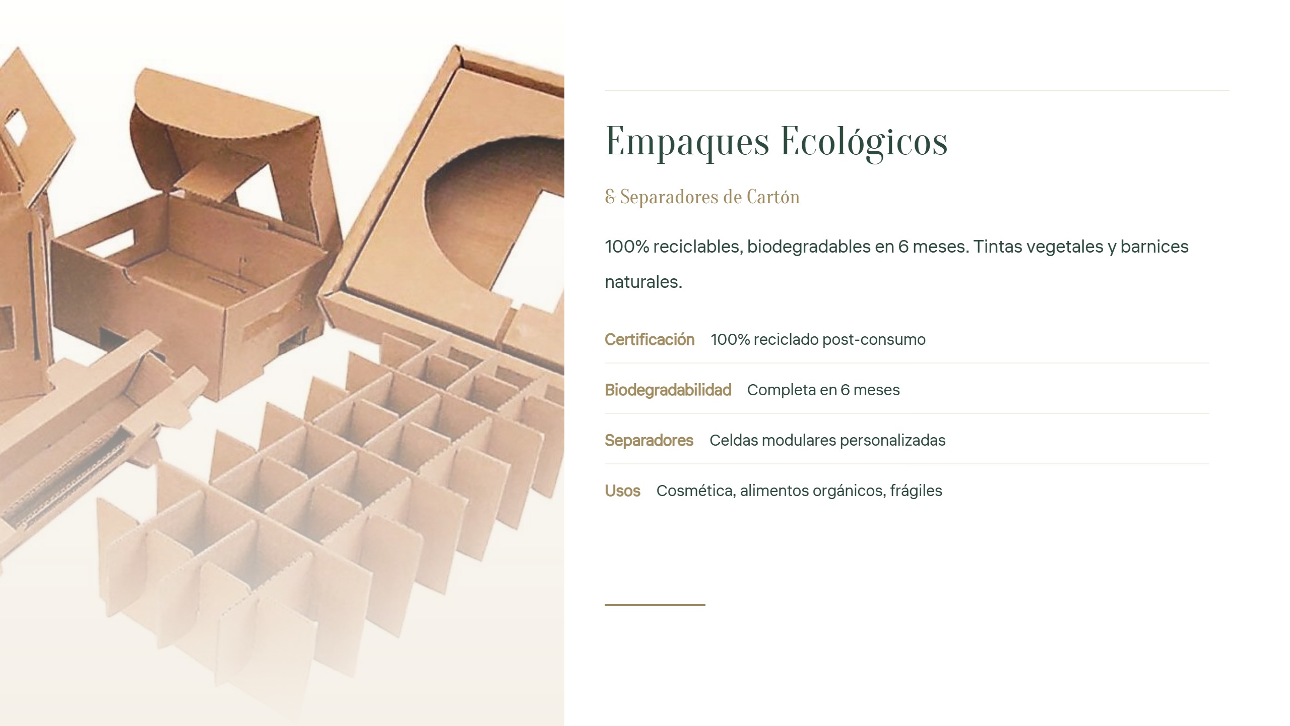 Box Master - Portafolio de Productos — page 10