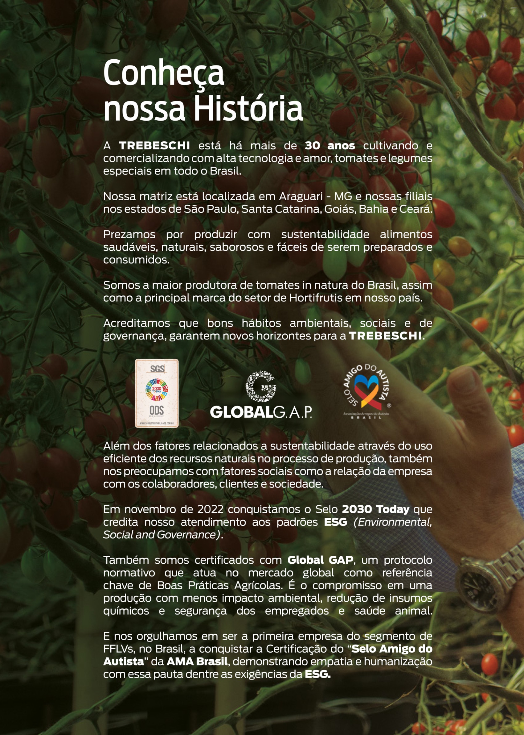 Catálogo Digital — page 2