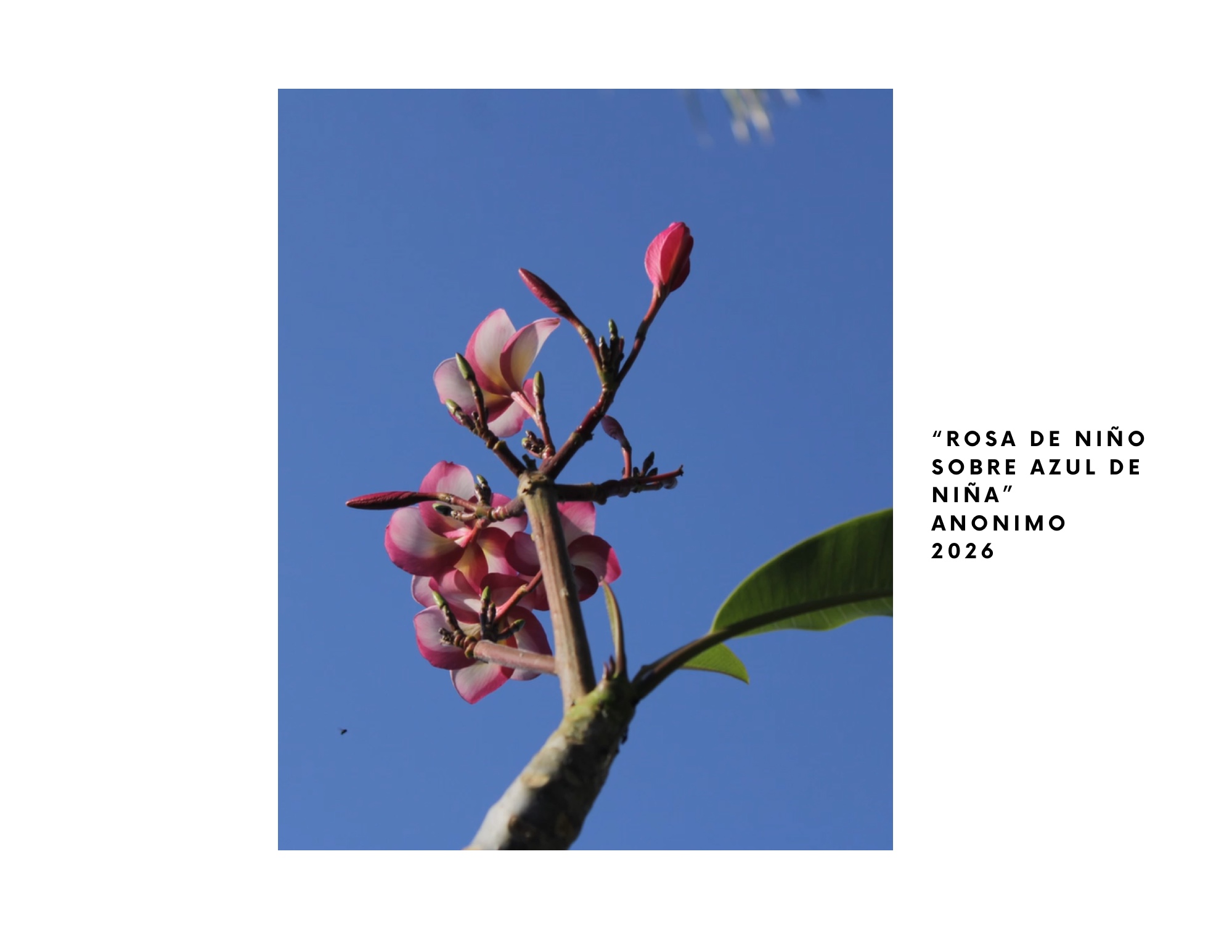 INVENTARIO DE IDENTIDAD — page 2