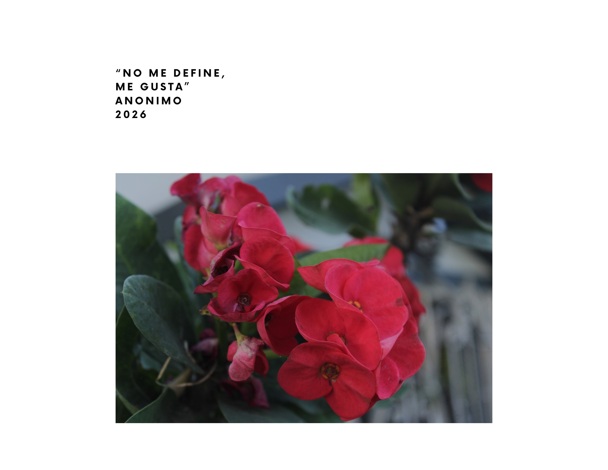 INVENTARIO DE IDENTIDAD — page 13
