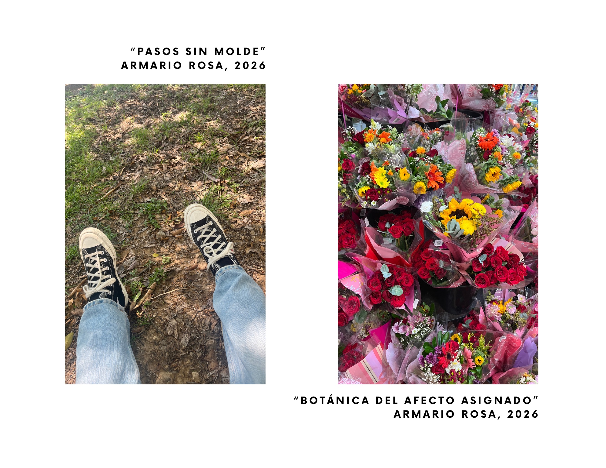 INVENTARIO DE IDENTIDAD — page 16