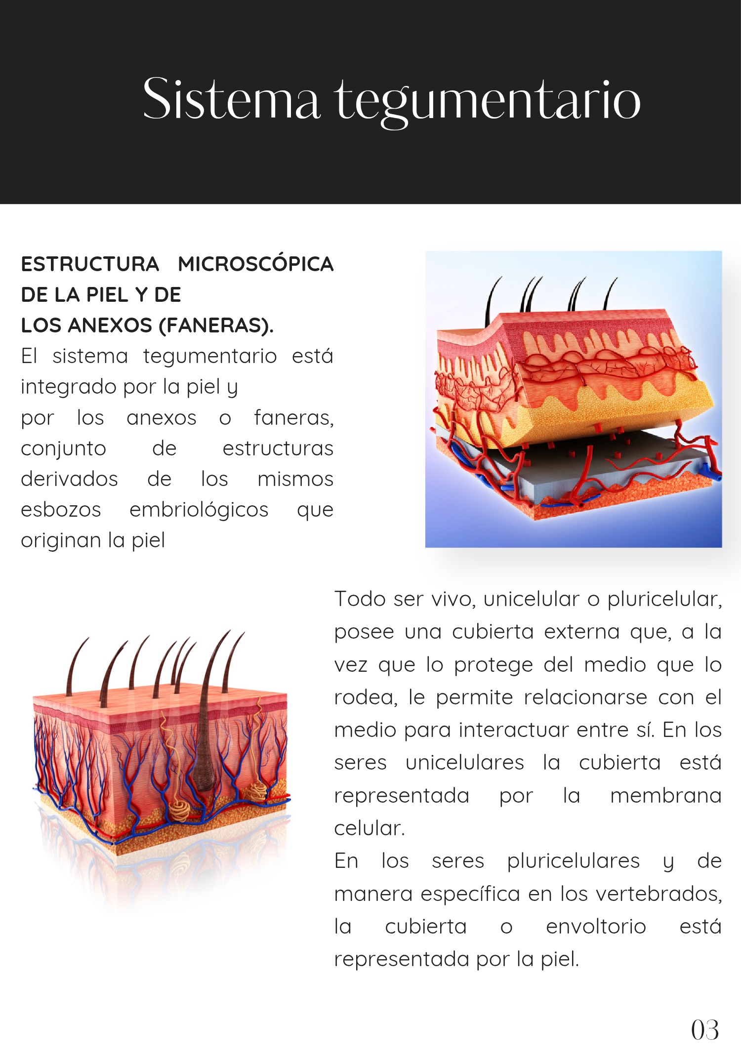 PIA BIOSAL _20260517_175905_0000 — page 5