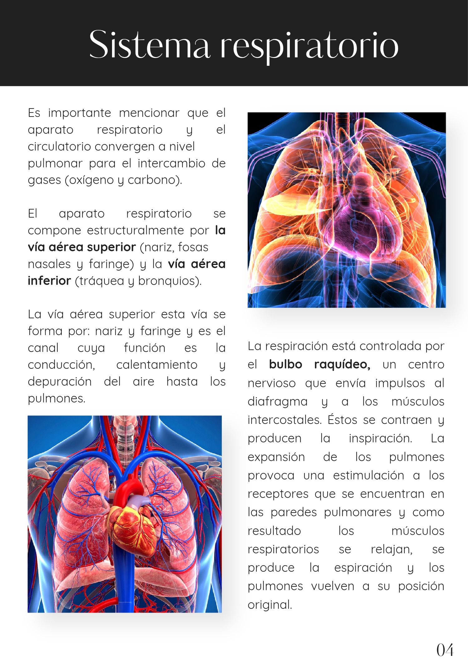 PIA BIOSAL _20260517_175905_0000 — page 6