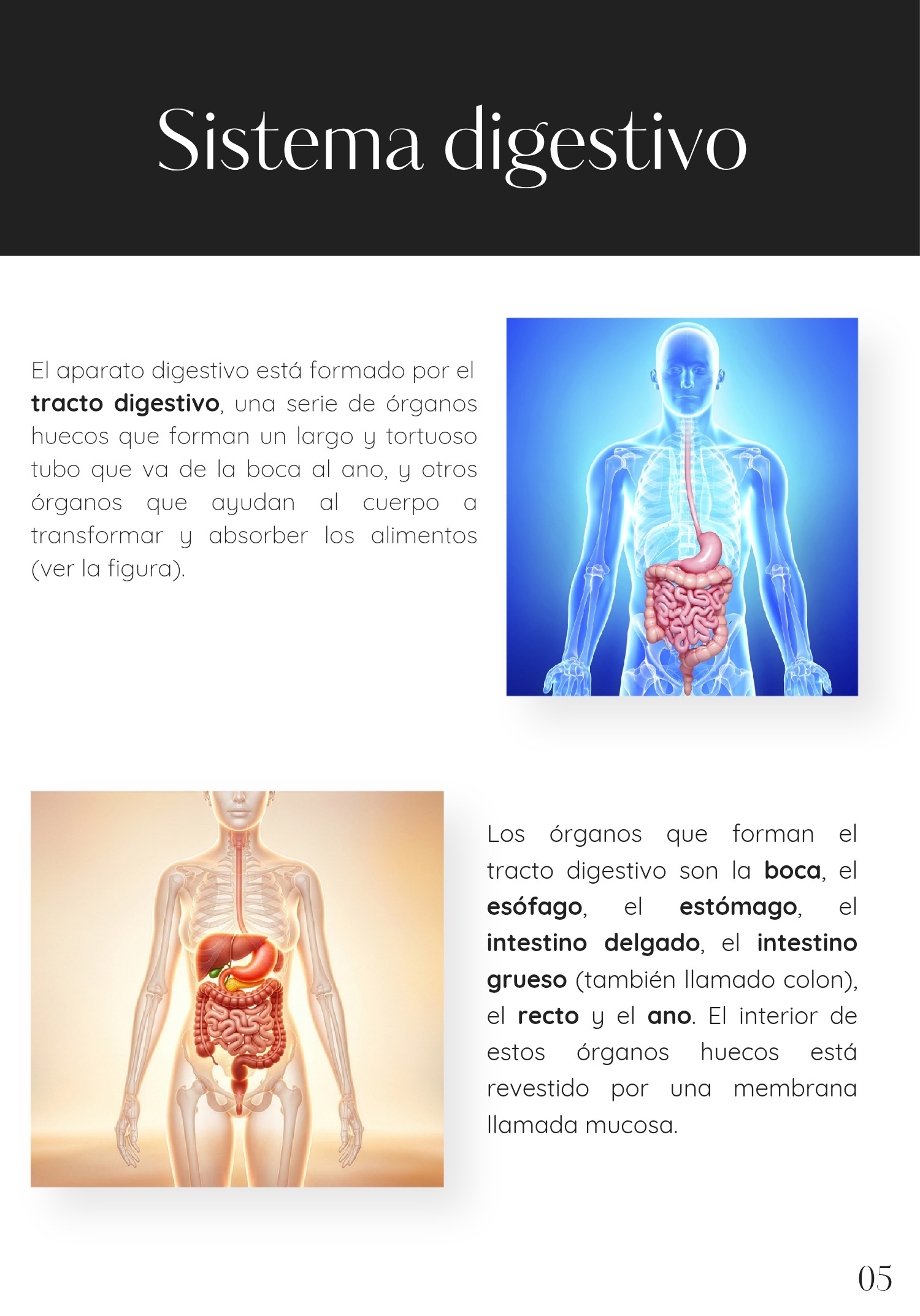 PIA BIOSAL _20260517_175905_0000 — page 7