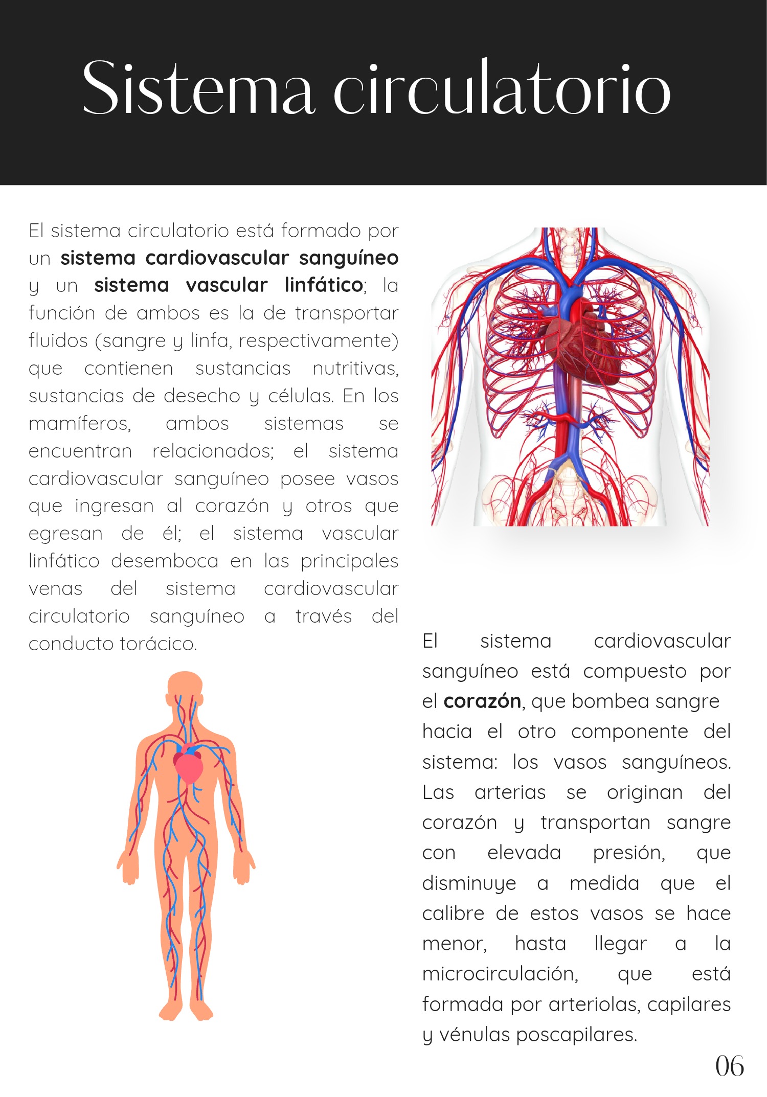 PIA BIOSAL _20260517_175905_0000 — page 8