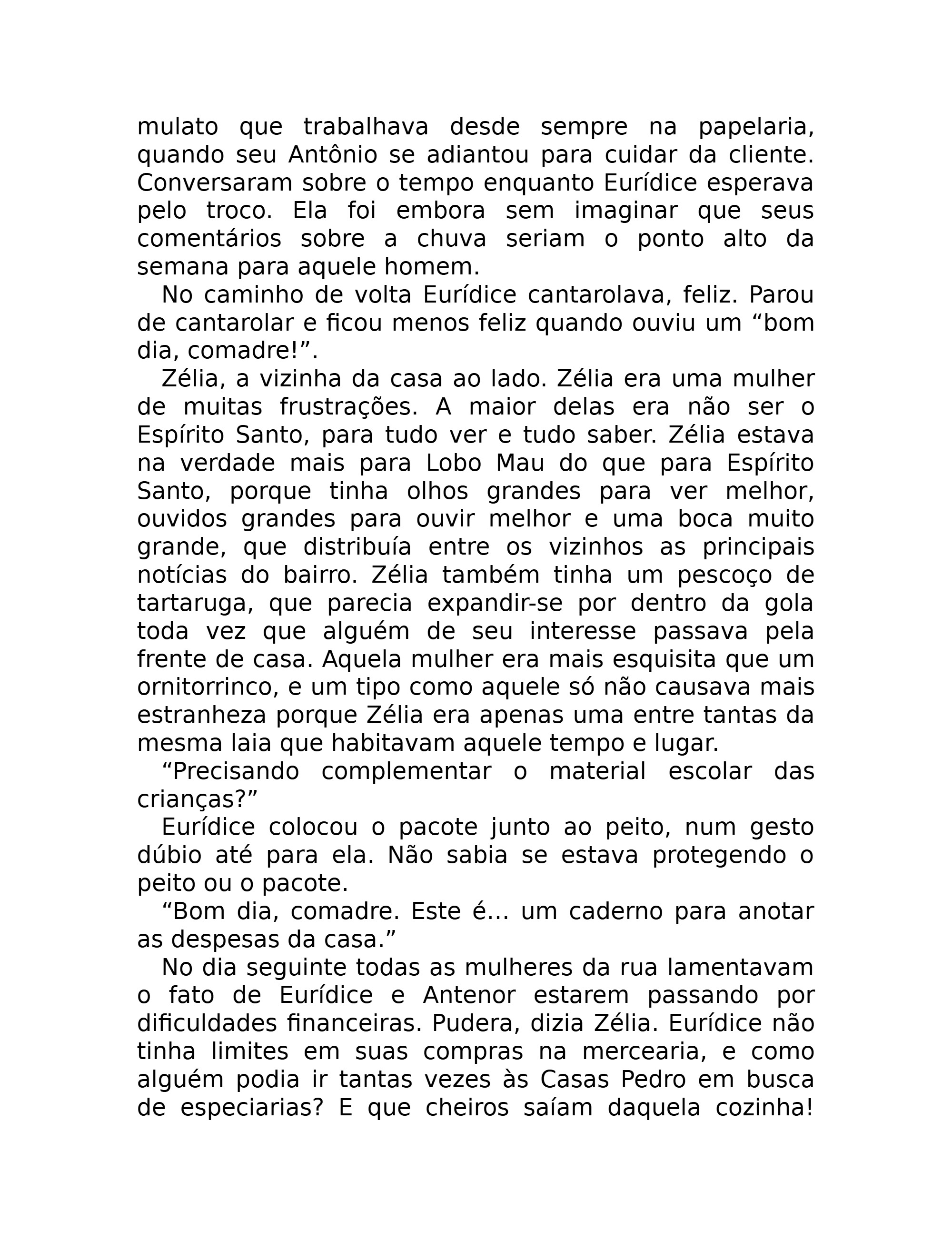 A Vida Invisivel de Euridice Gusmao (Martha Batalha) — page 13
