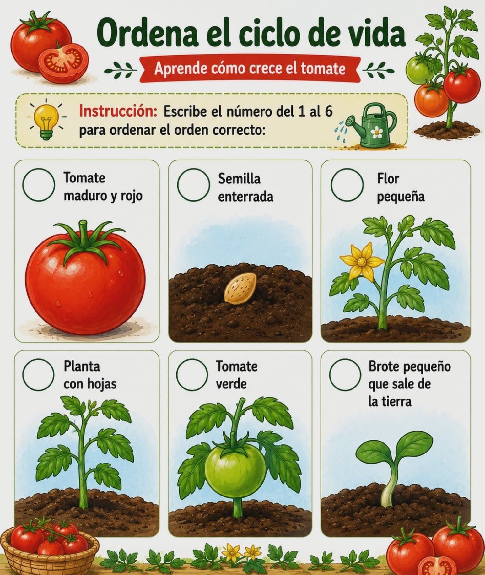 El Tomate — page 41