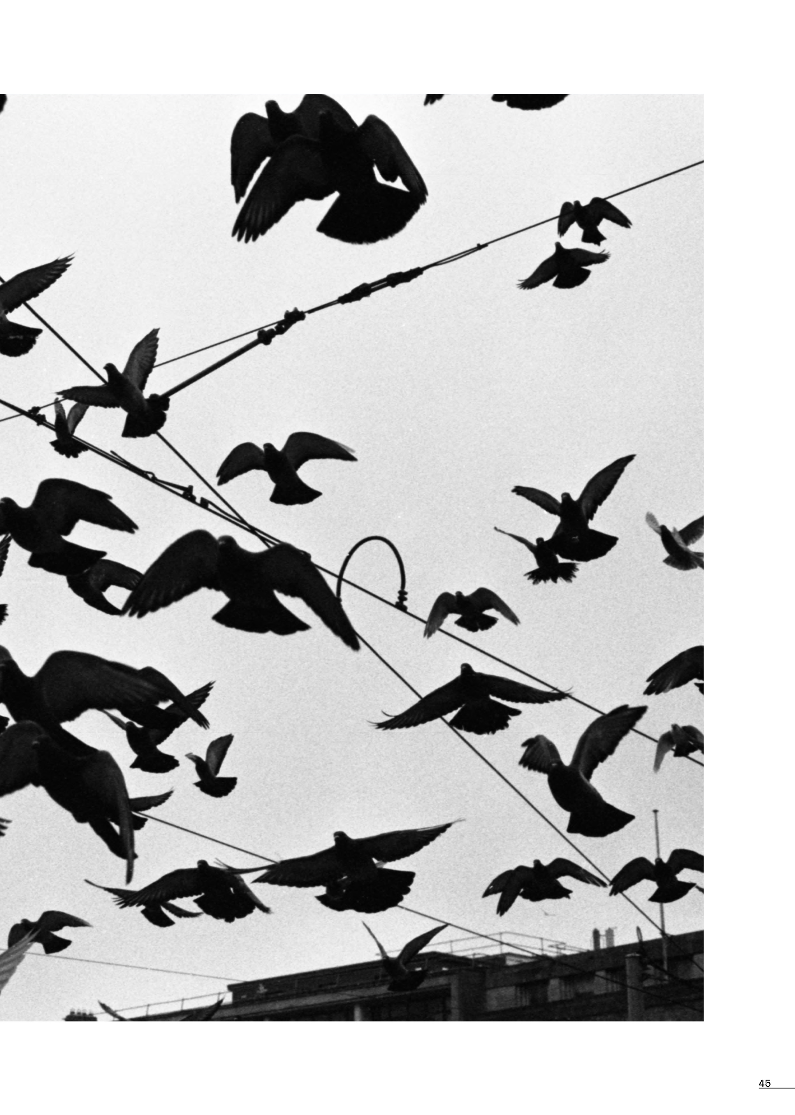 Sprawl Magazine / Issue 3 — page 45