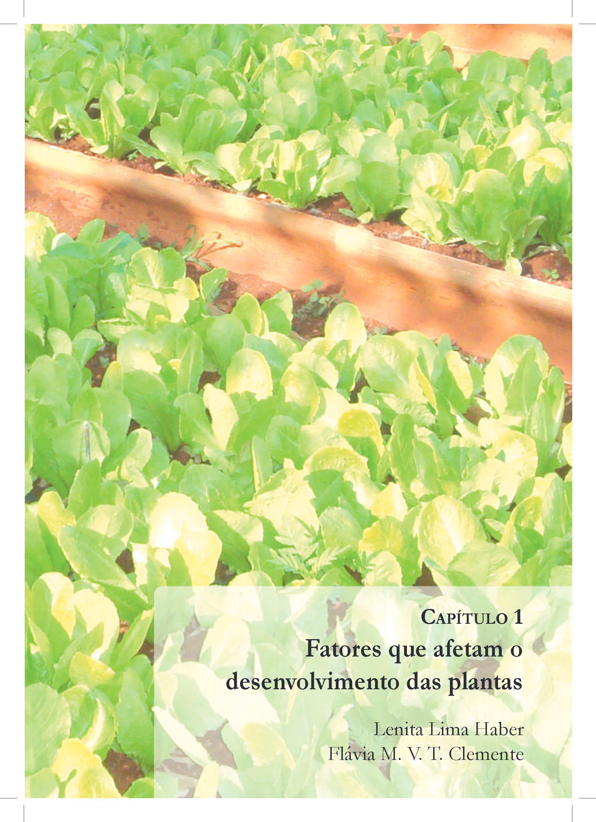 HORTA EM PEQUENOS ESPACOS — page 12