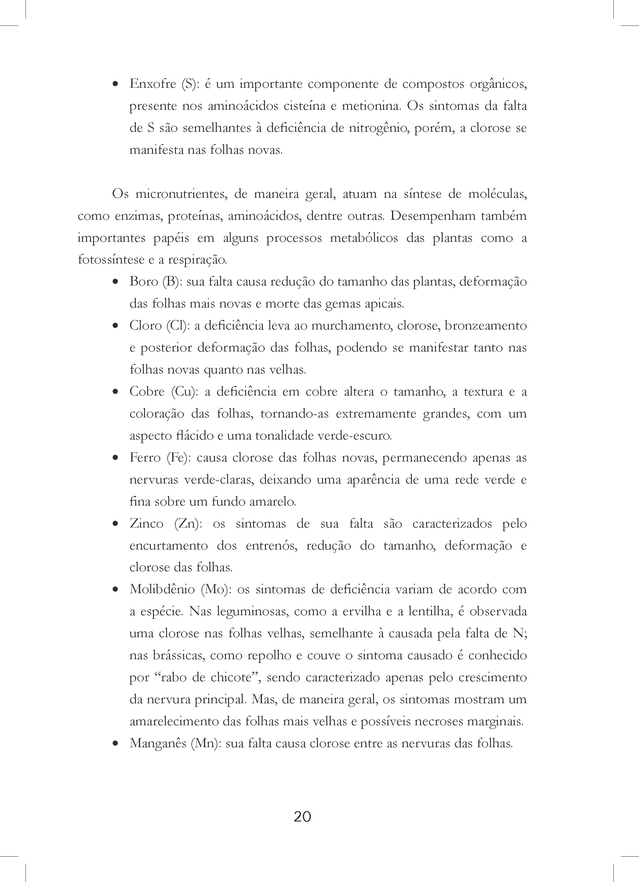 HORTA EM PEQUENOS ESPACOS — page 21