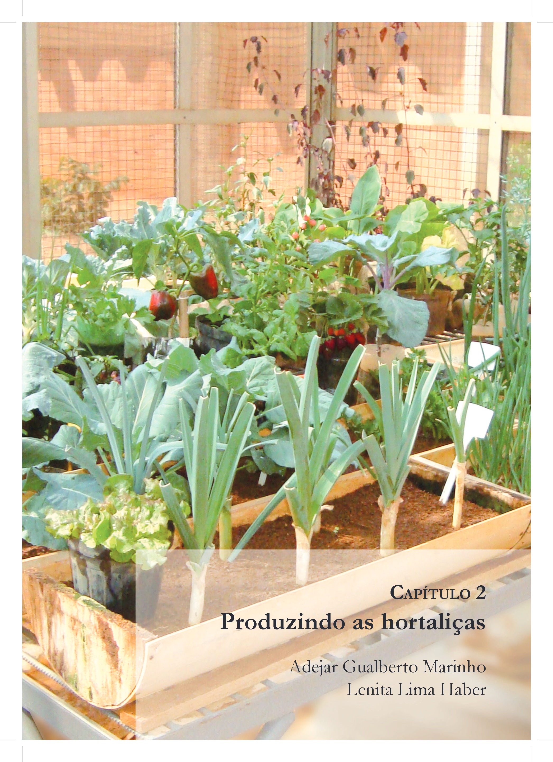 HORTA EM PEQUENOS ESPACOS — page 22