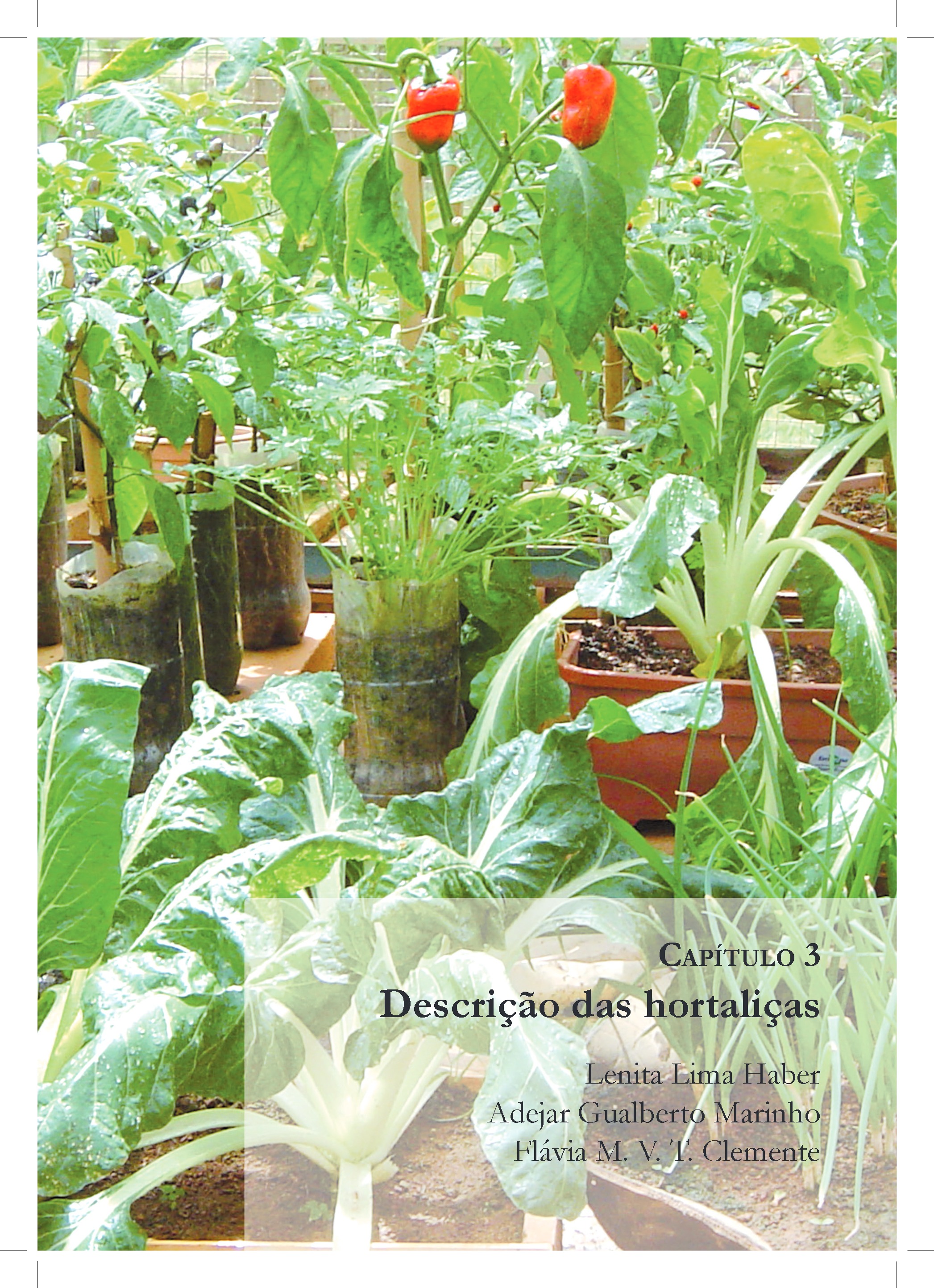 HORTA EM PEQUENOS ESPACOS — page 32