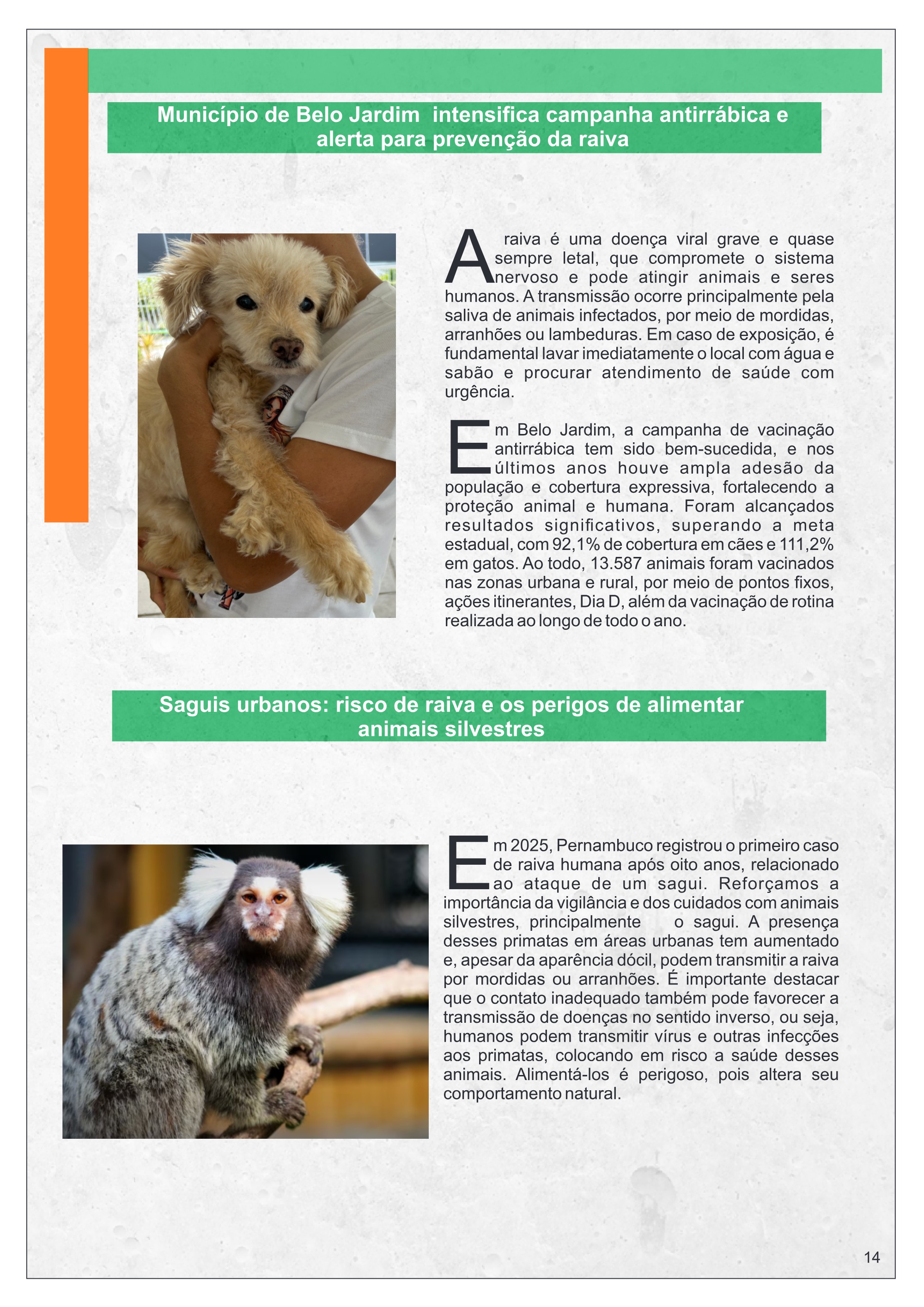 Revista Visaude — page 13