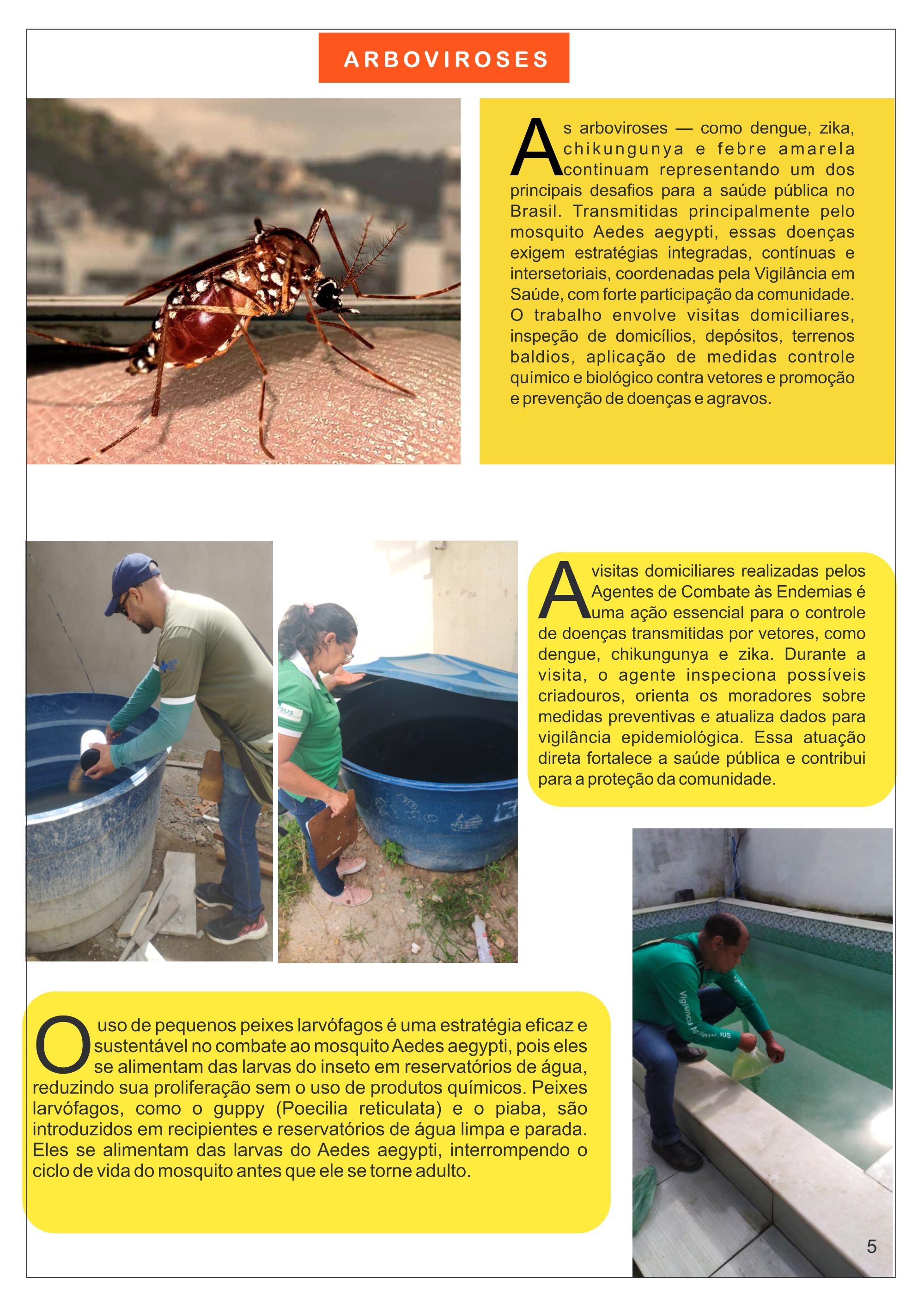 Revista Visaude — page 8