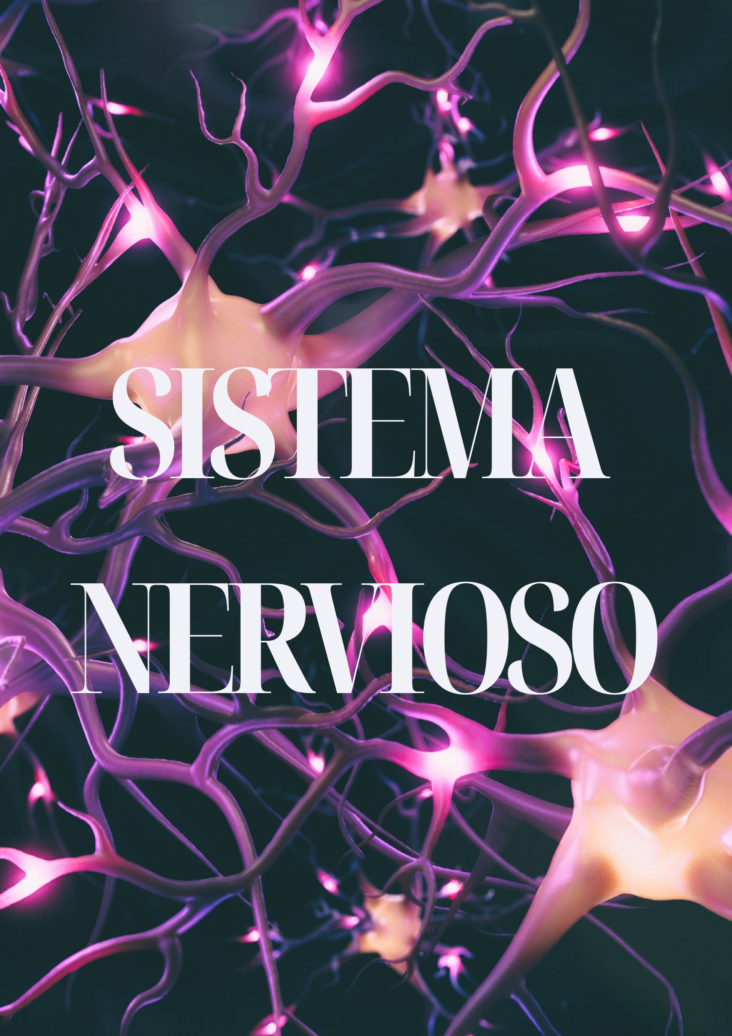 Revista de biología — page 13